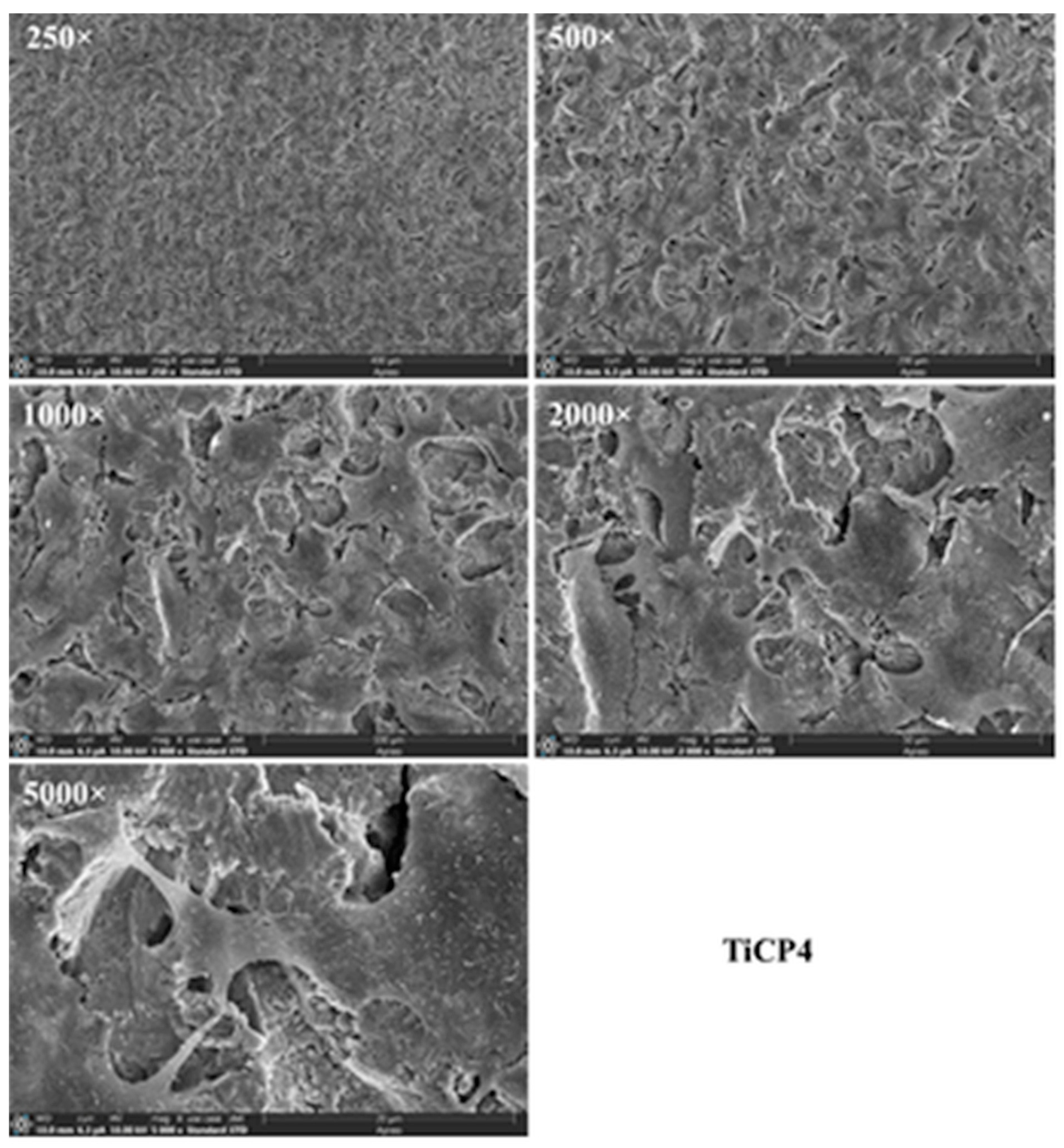 Applsci 14 07365 g012