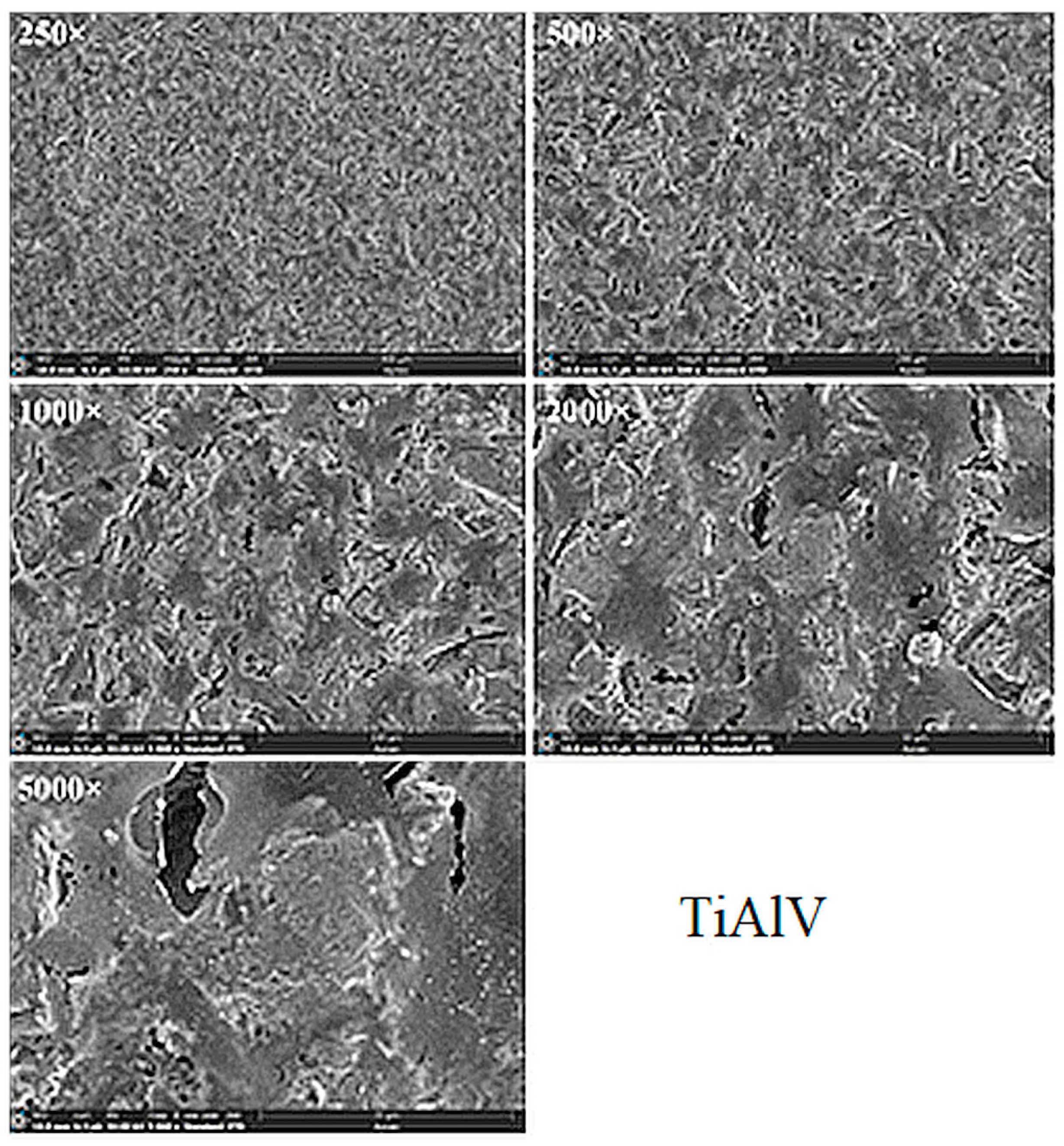 Applsci 14 07365 g013