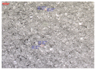 Applsci 14 07365 i002