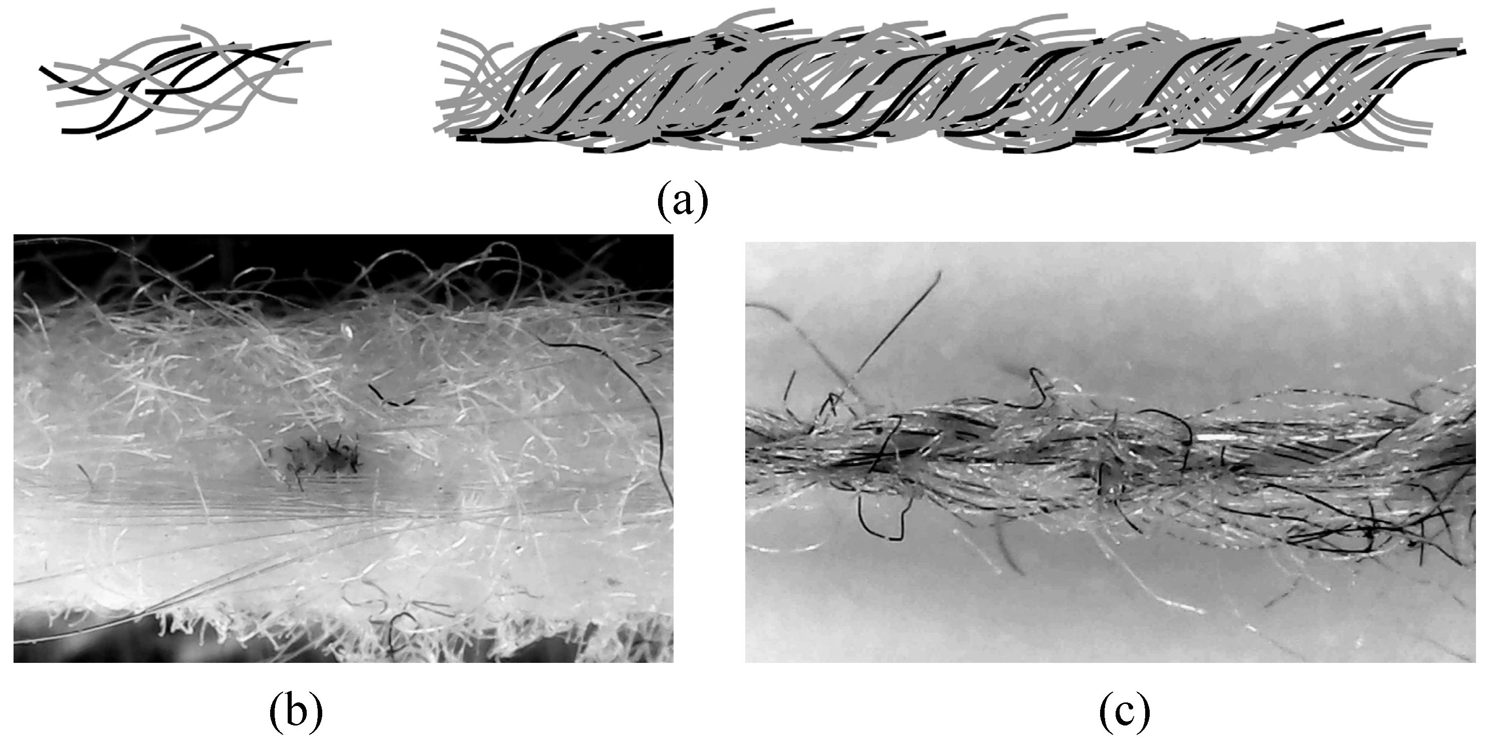 Applsci 14 07376 g001