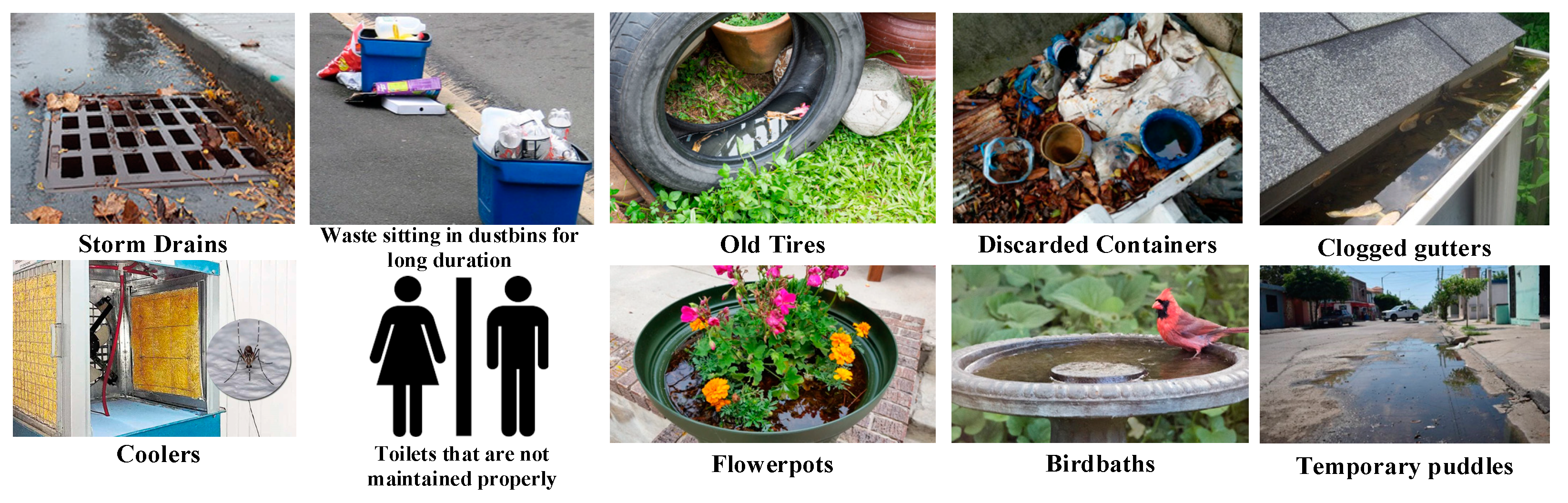 Applsci 14 07382 g001