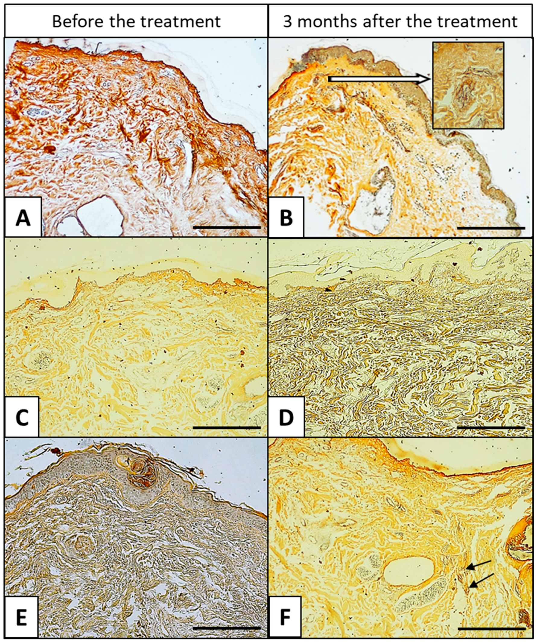 Applsci 14 07394 g003
