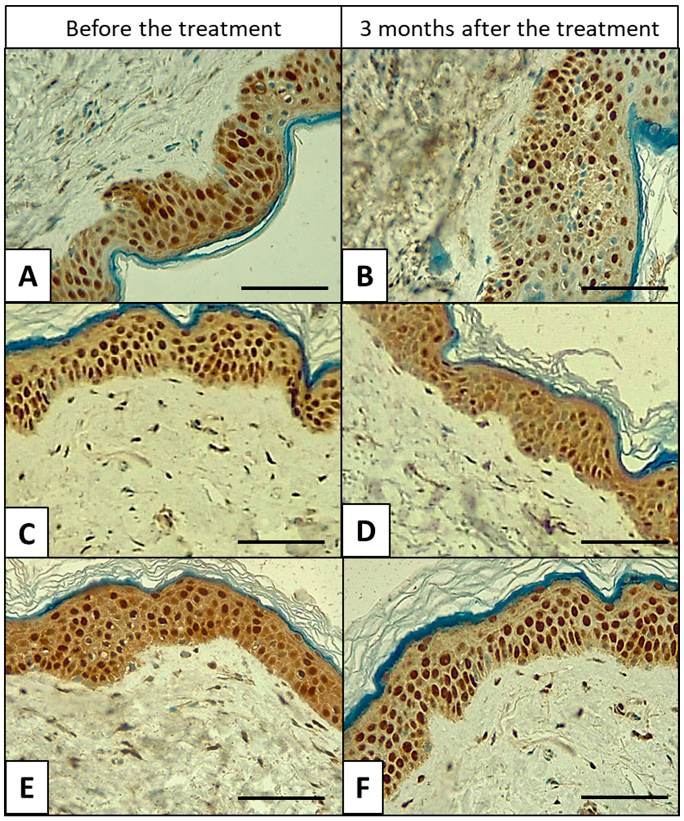 Applsci 14 07394 g007