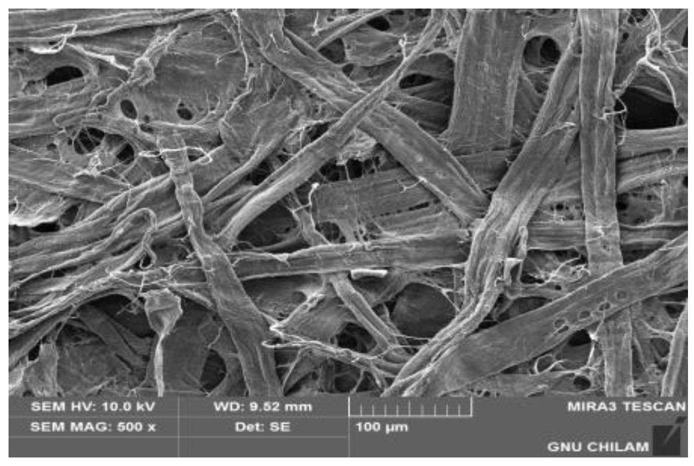 Applsci 14 07431 g003