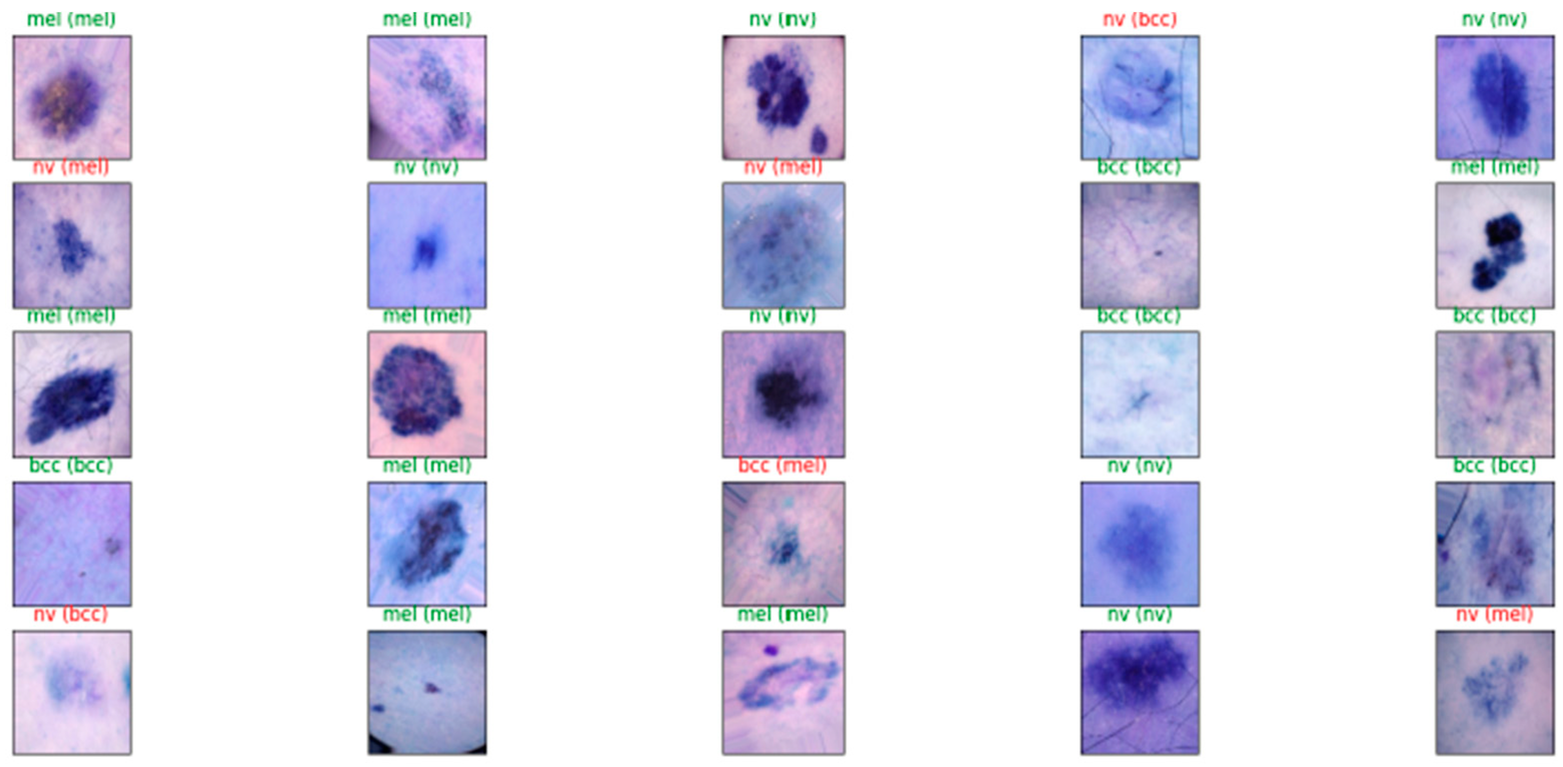 Applsci 14 07447 g009