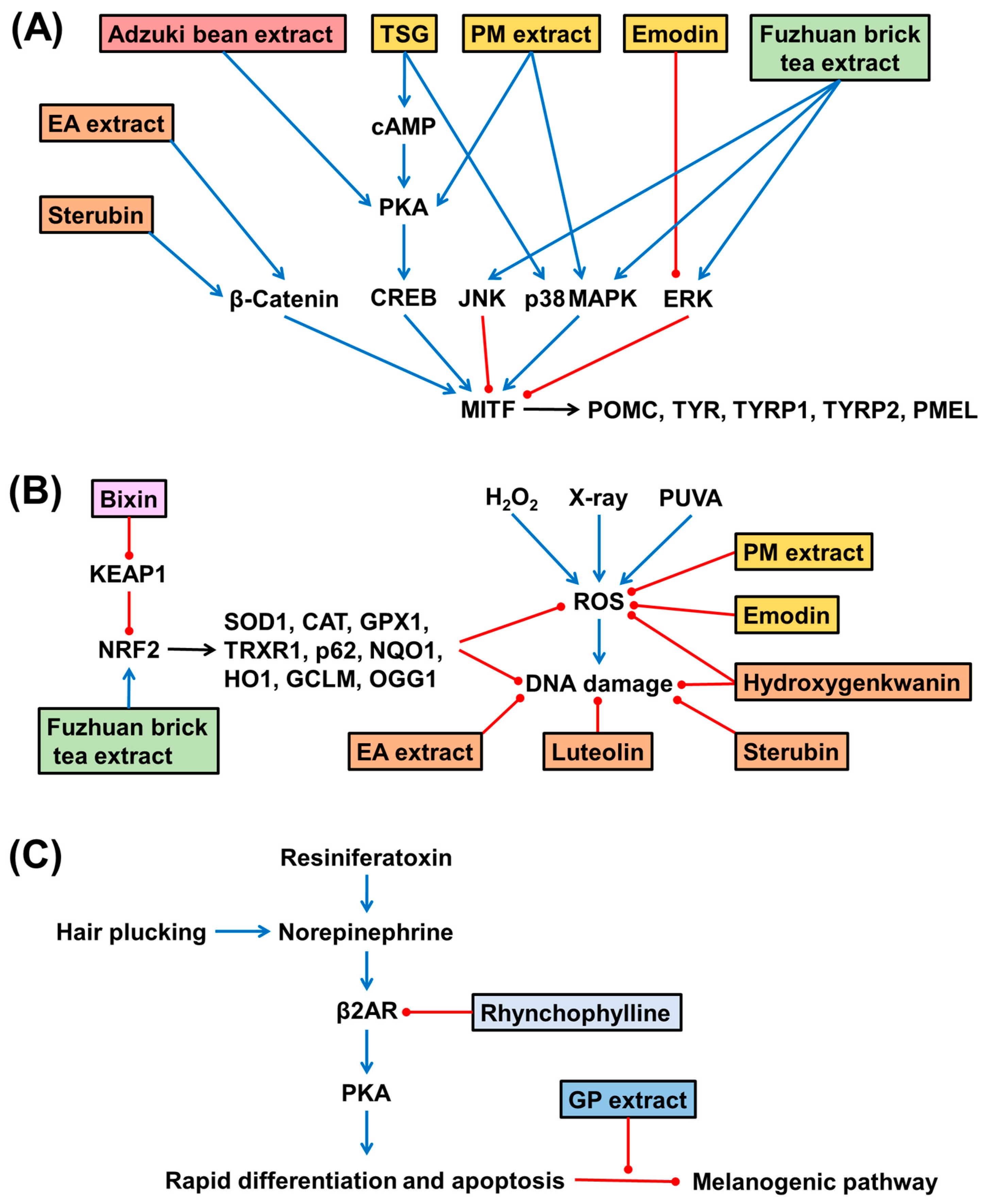 HUNDRED LINE -最終防衛学園-初回特典付 Intrinsic and Extrinsic Factors Associated with Hair Graying