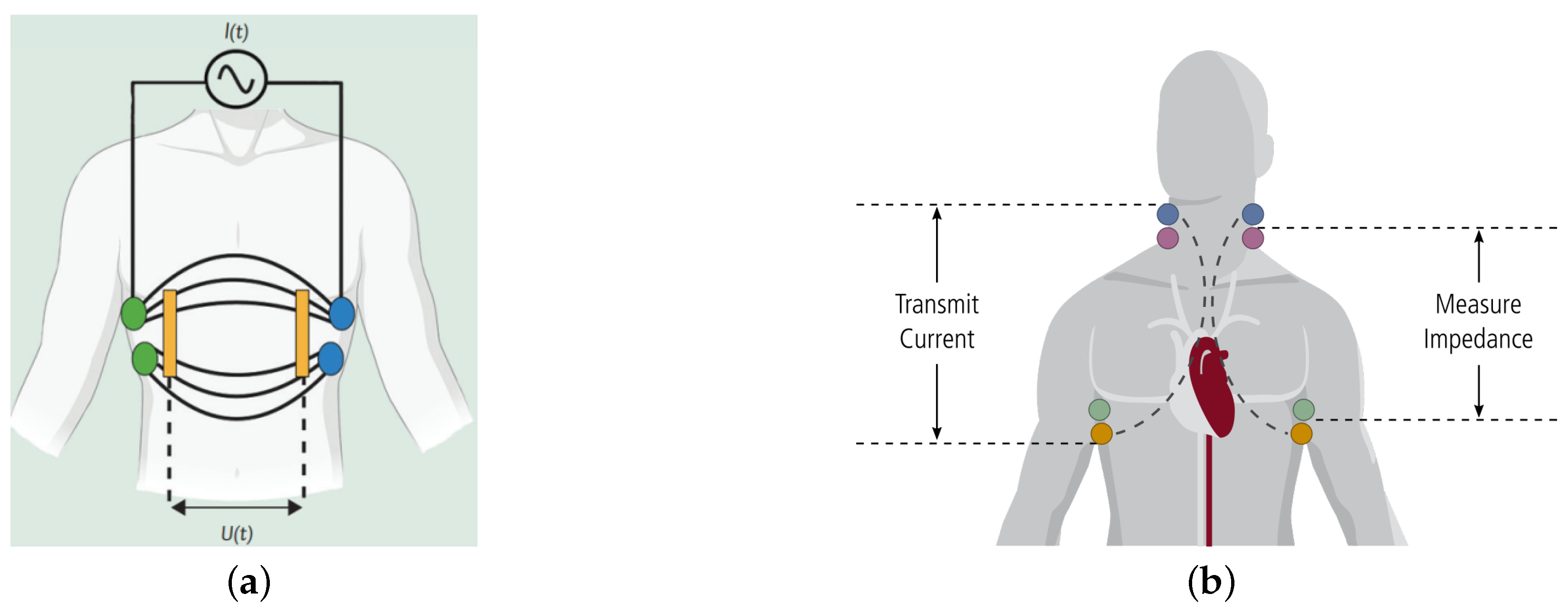 Applsci 14 07451 g003