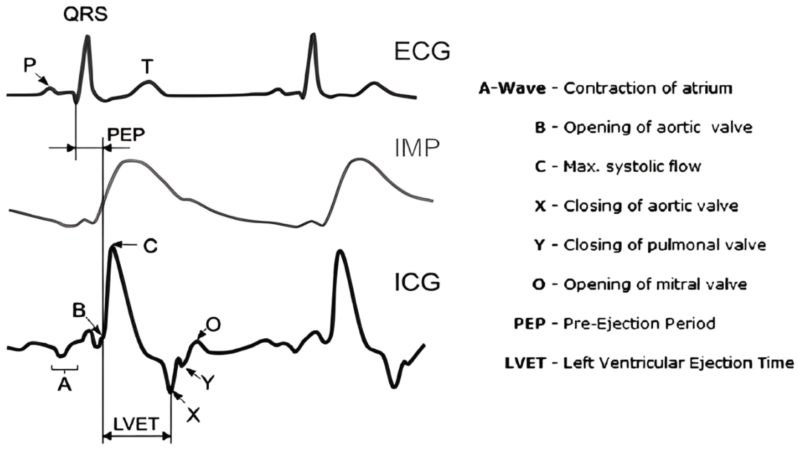 Applsci 14 07451 g005
