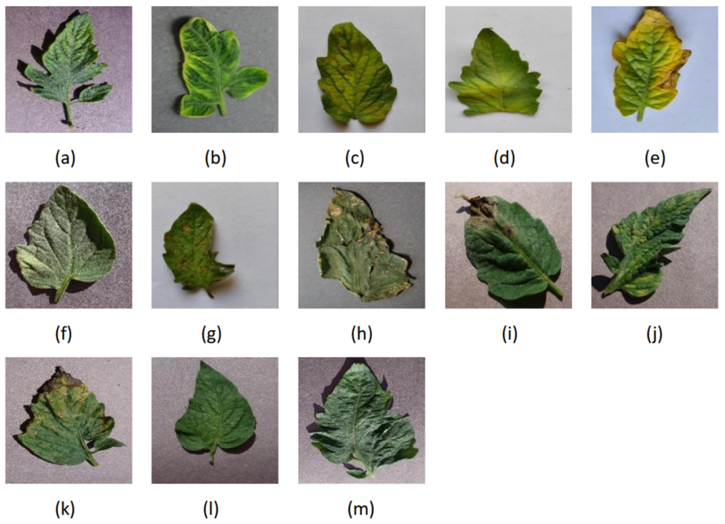 Applsci 14 07472 g004