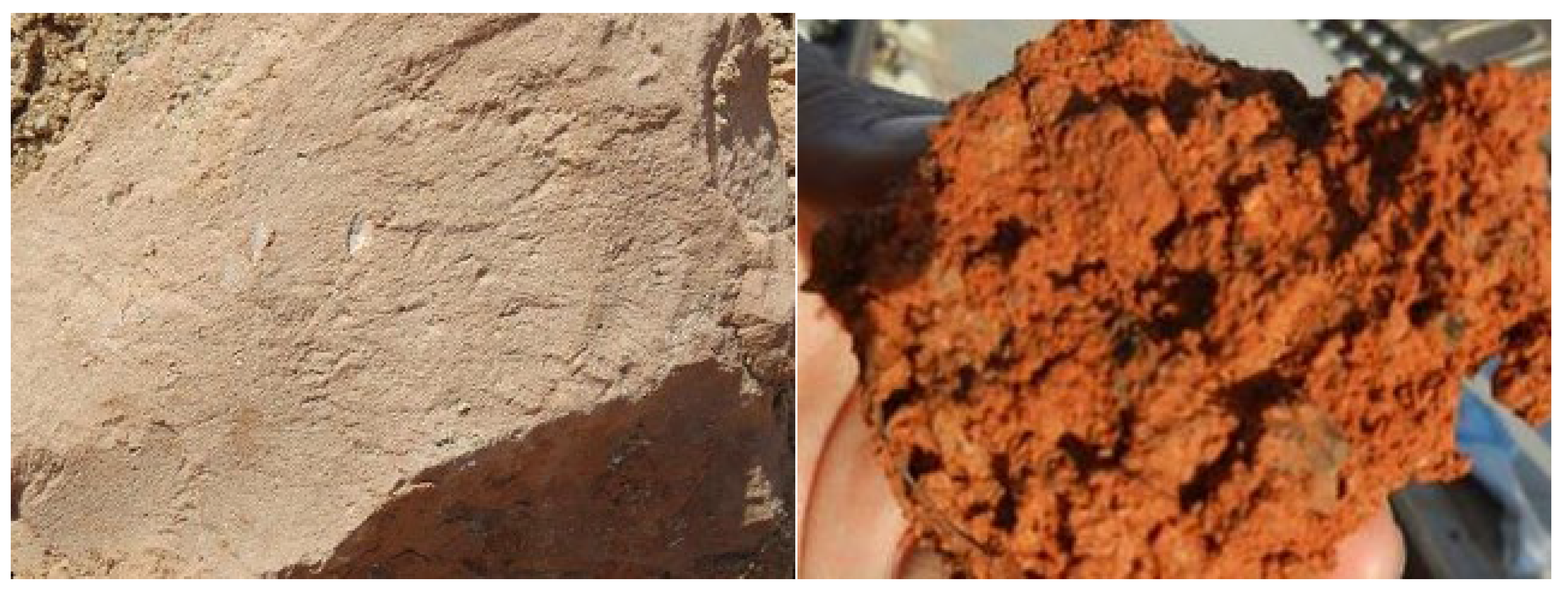 Applsci 14 07498 g002