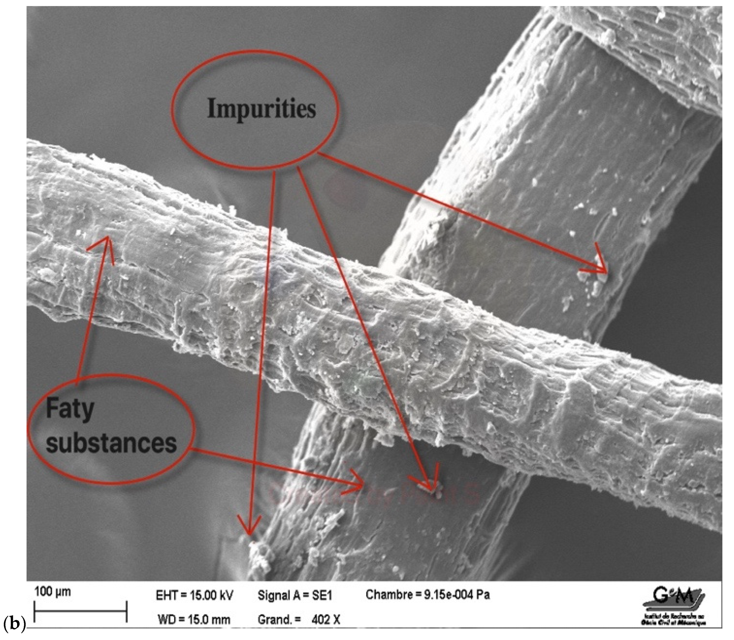 Applsci 14 07540 g003b