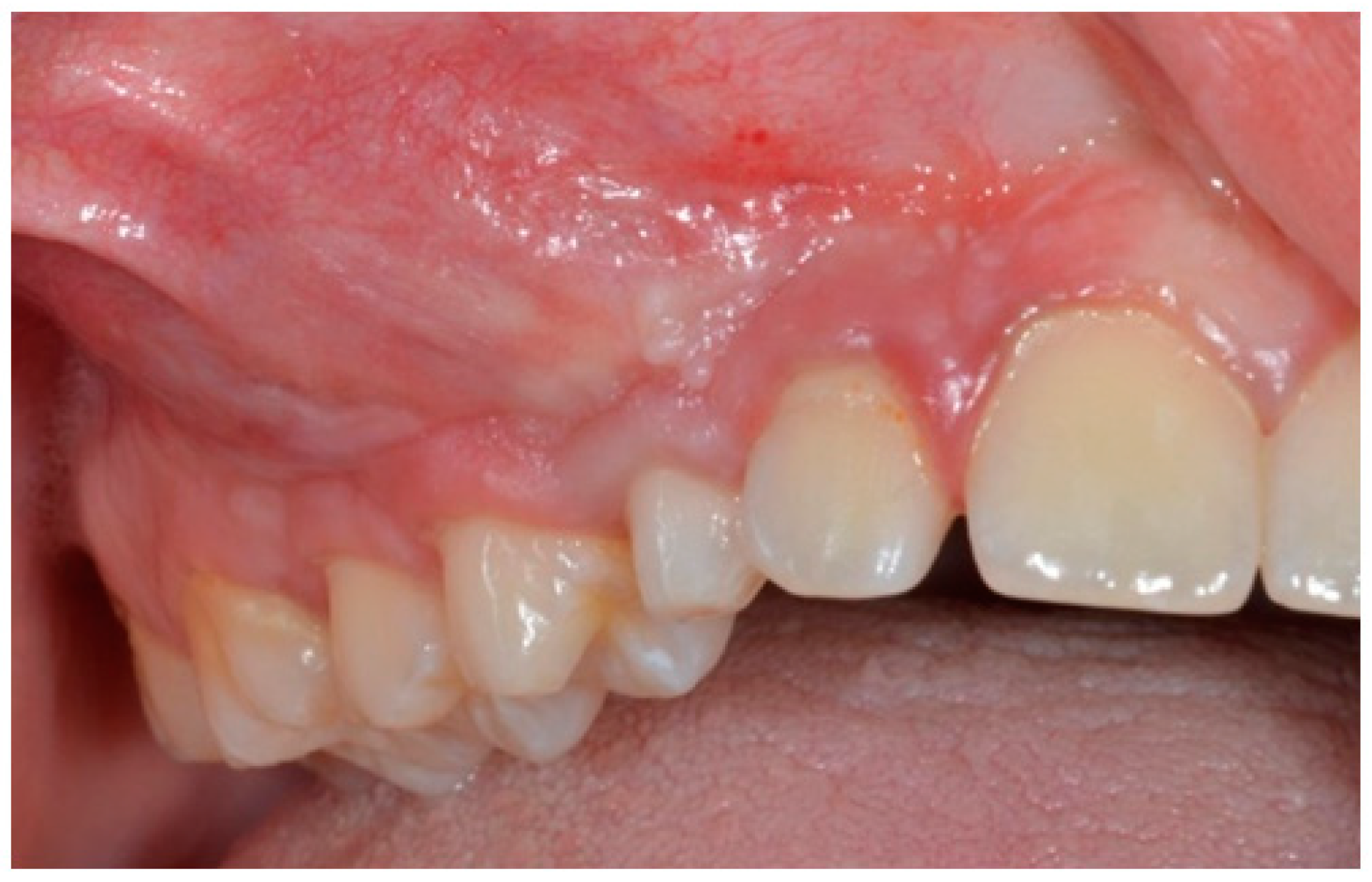 Applsci 14 07554 g001