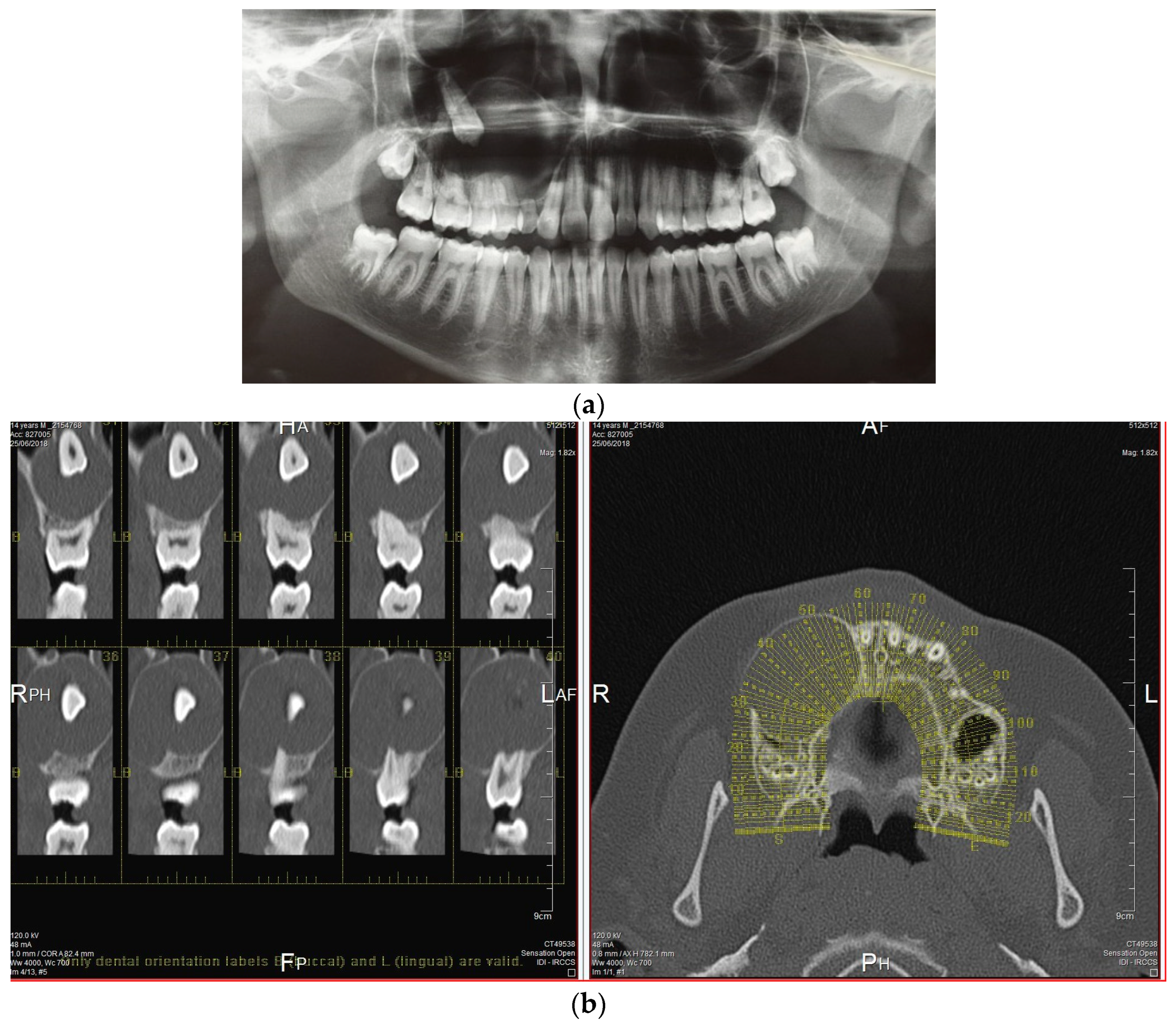 Applsci 14 07554 g002
