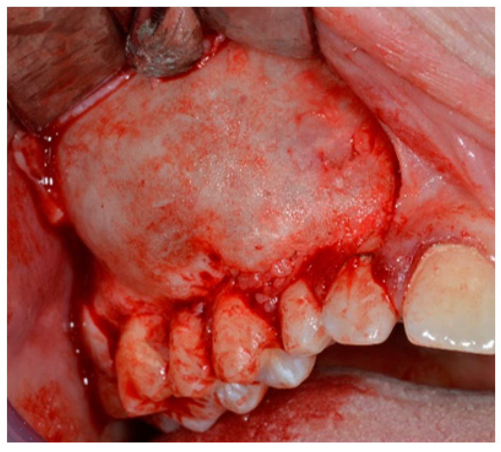 Applsci 14 07554 g003