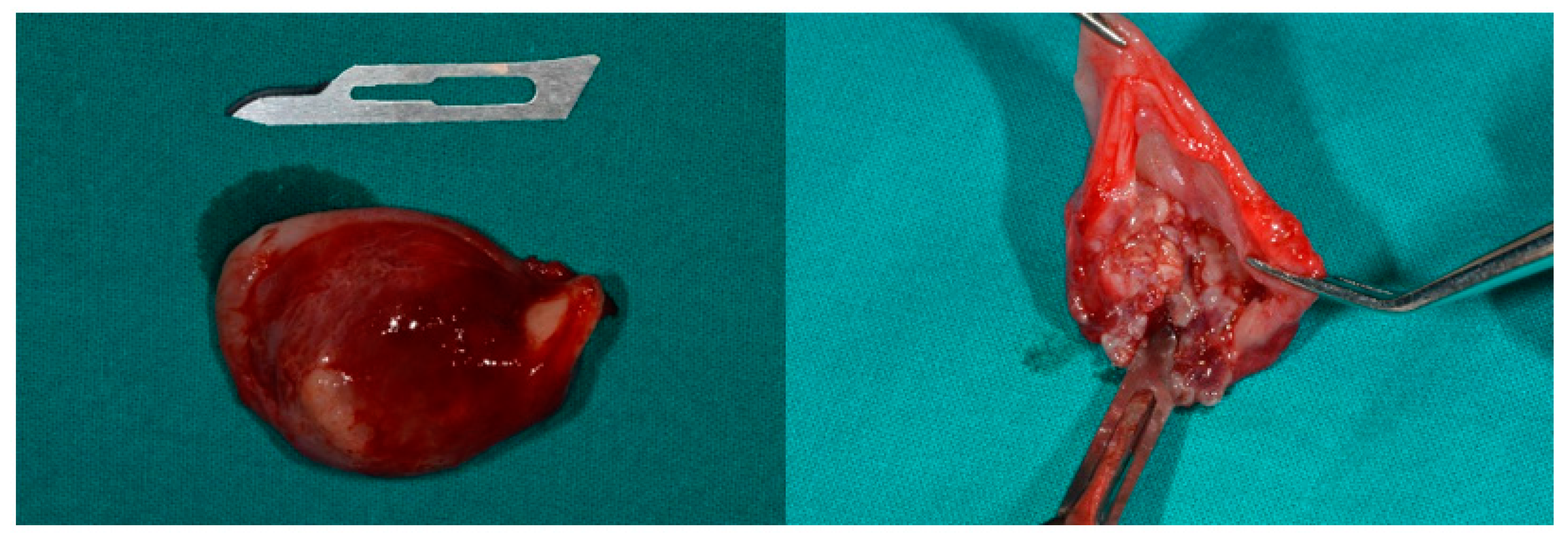 Applsci 14 07554 g005