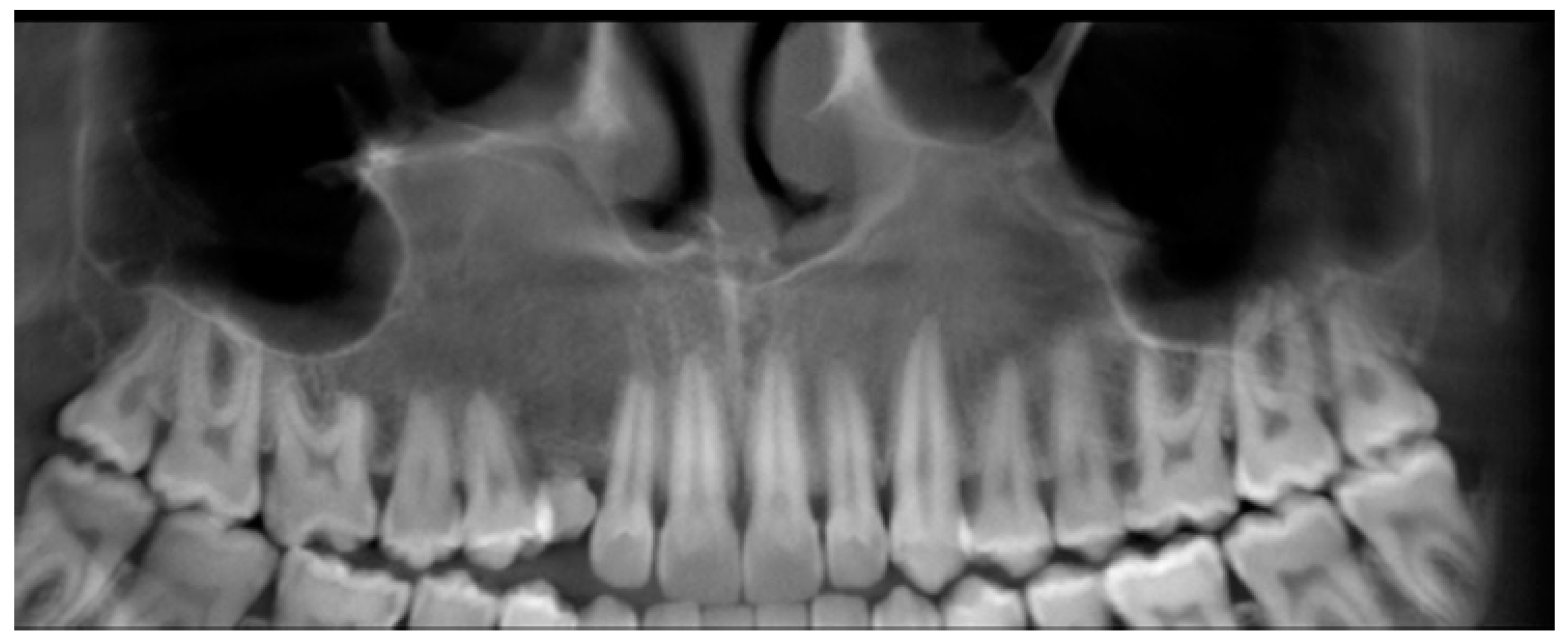 Applsci 14 07554 g006