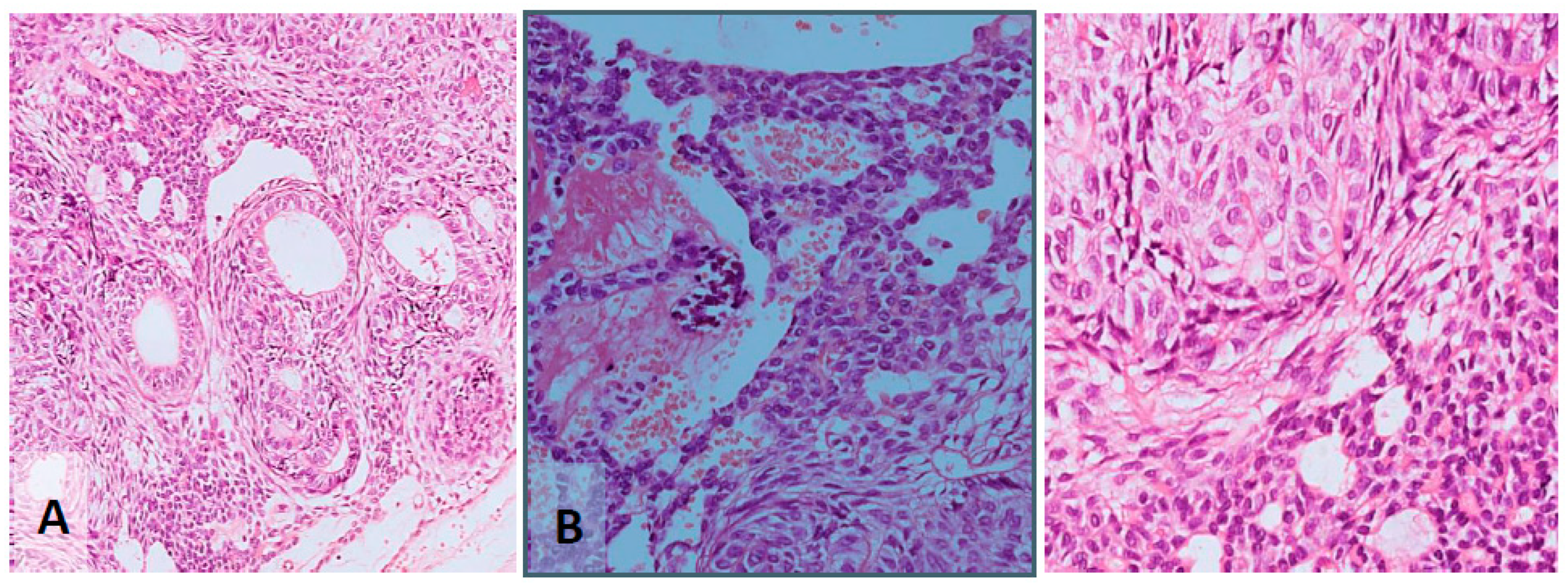 Applsci 14 07554 g008