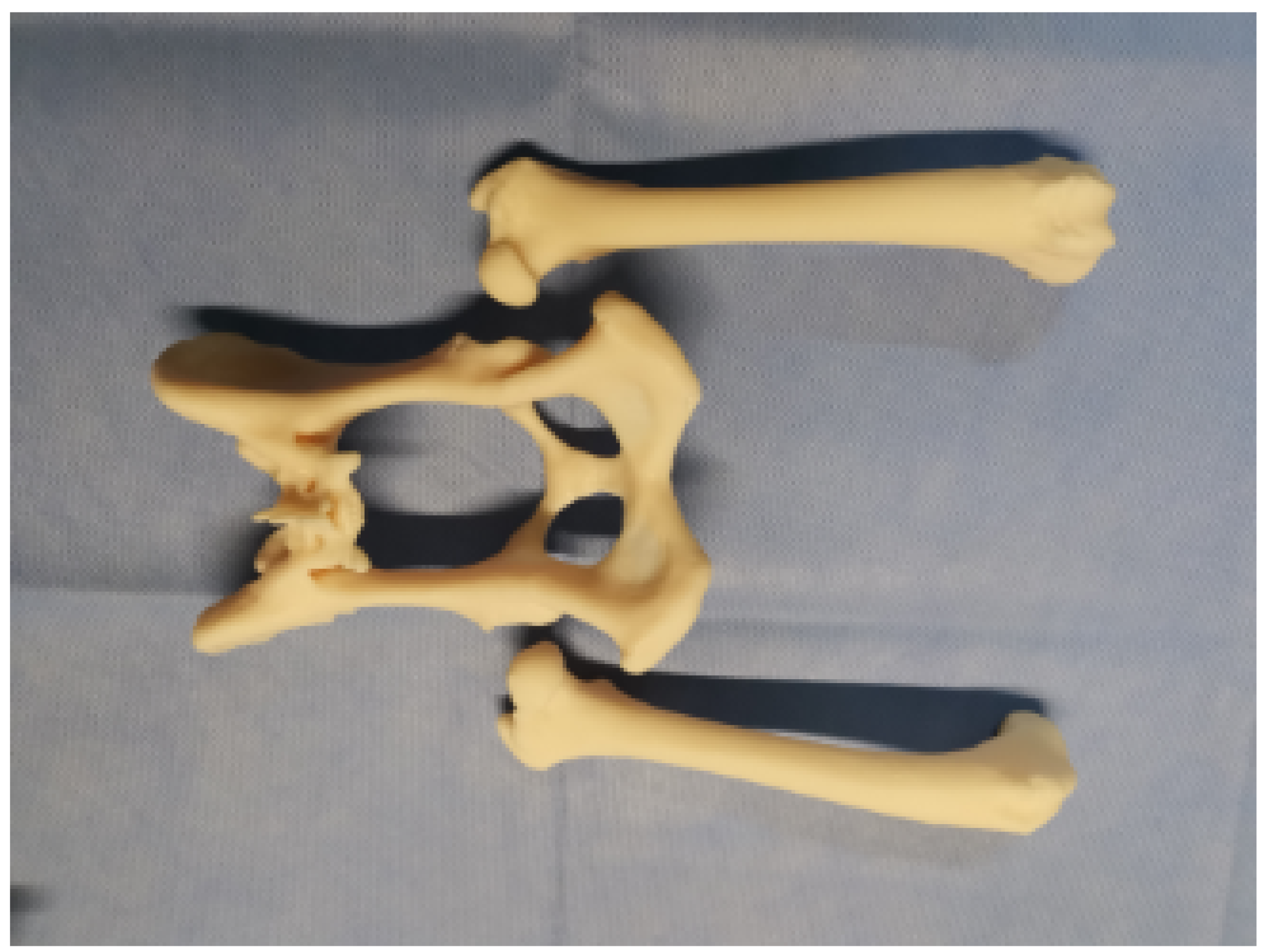 Applsci 14 07557 g008