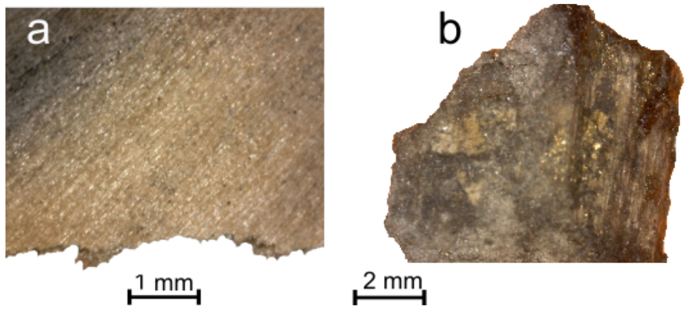 Applsci 14 07565 g004