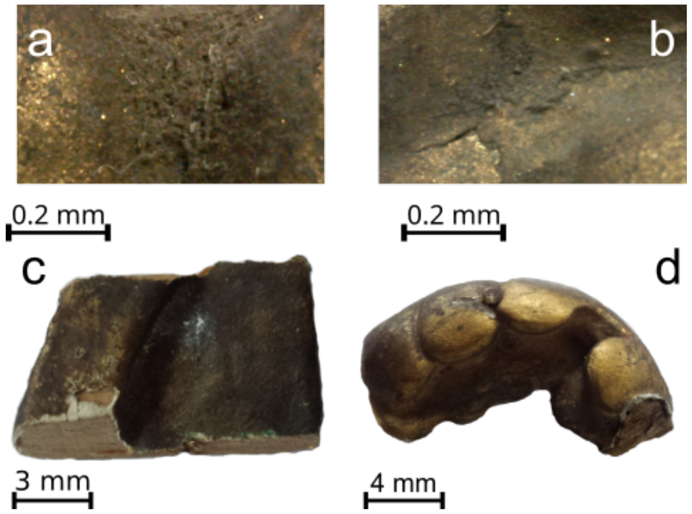 Applsci 14 07565 g005