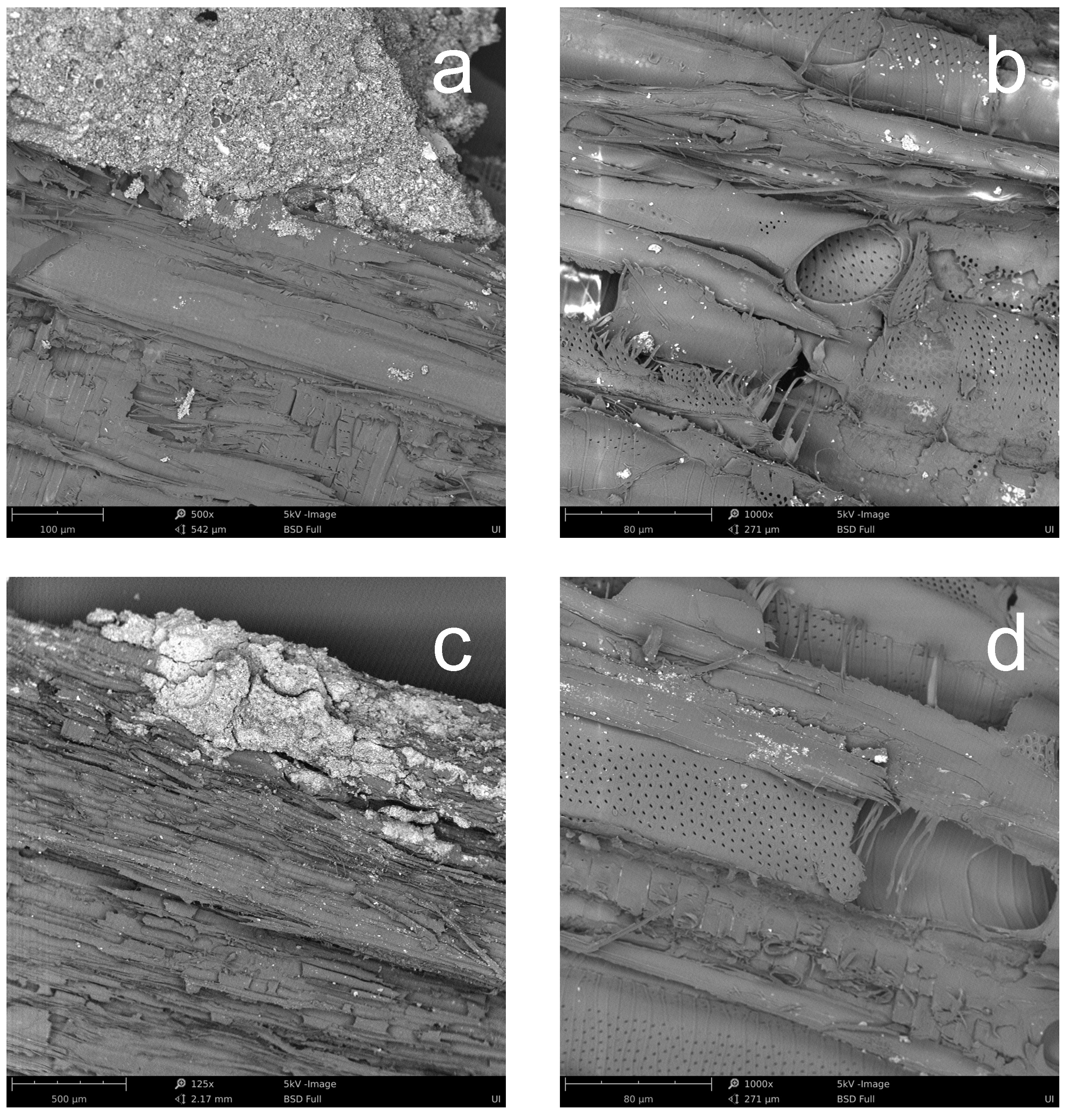 Applsci 14 07565 g008