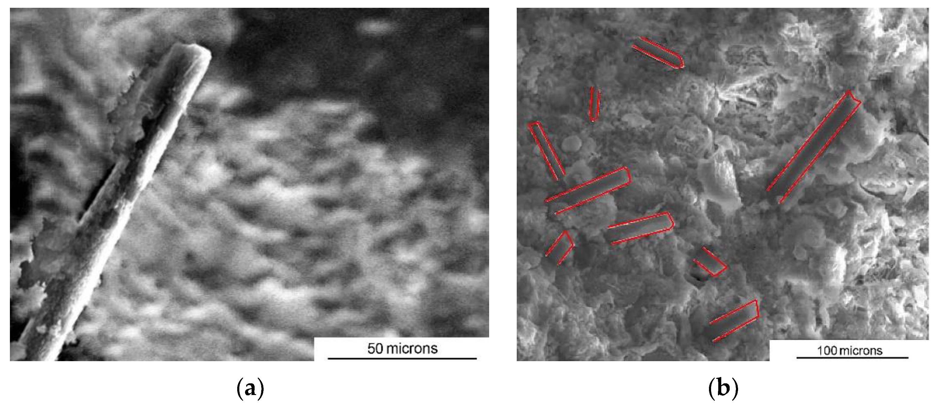 Applsci 14 07567 g009