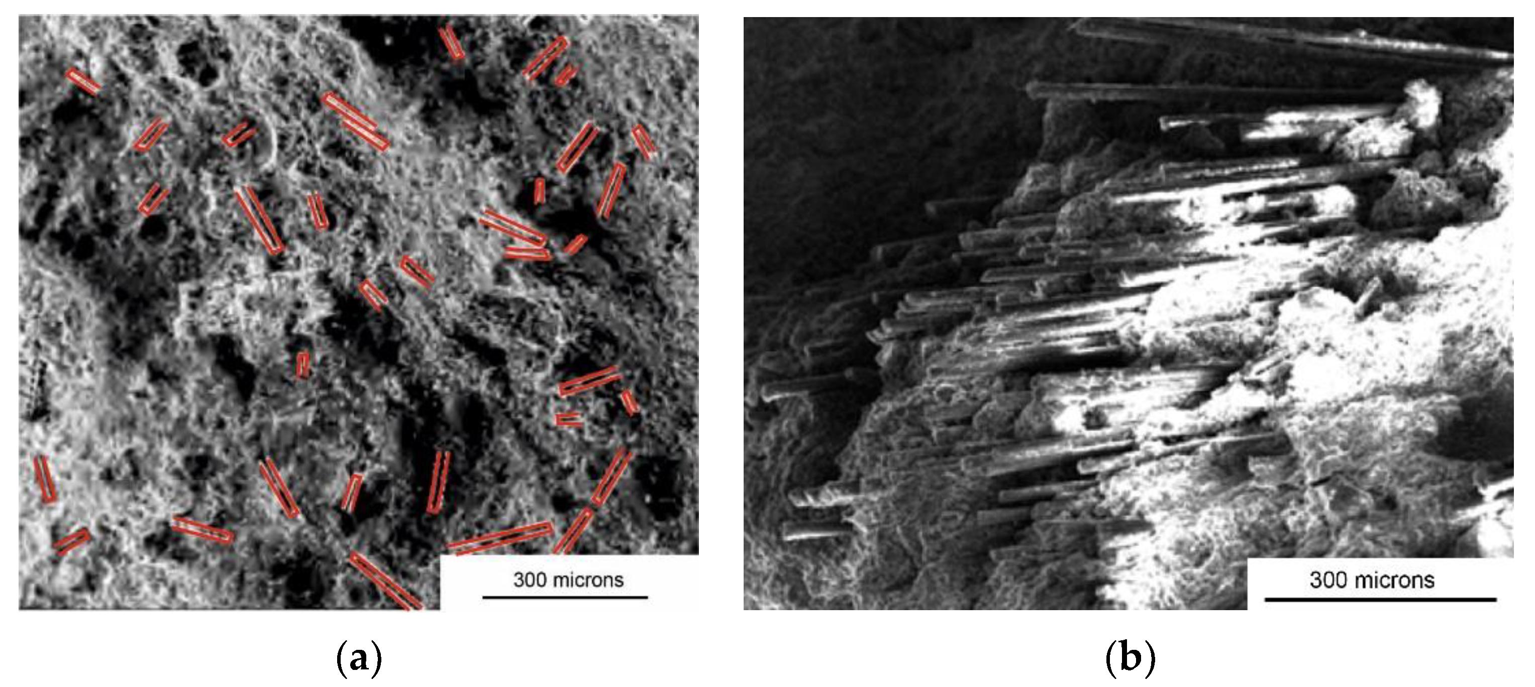 Applsci 14 07567 g010