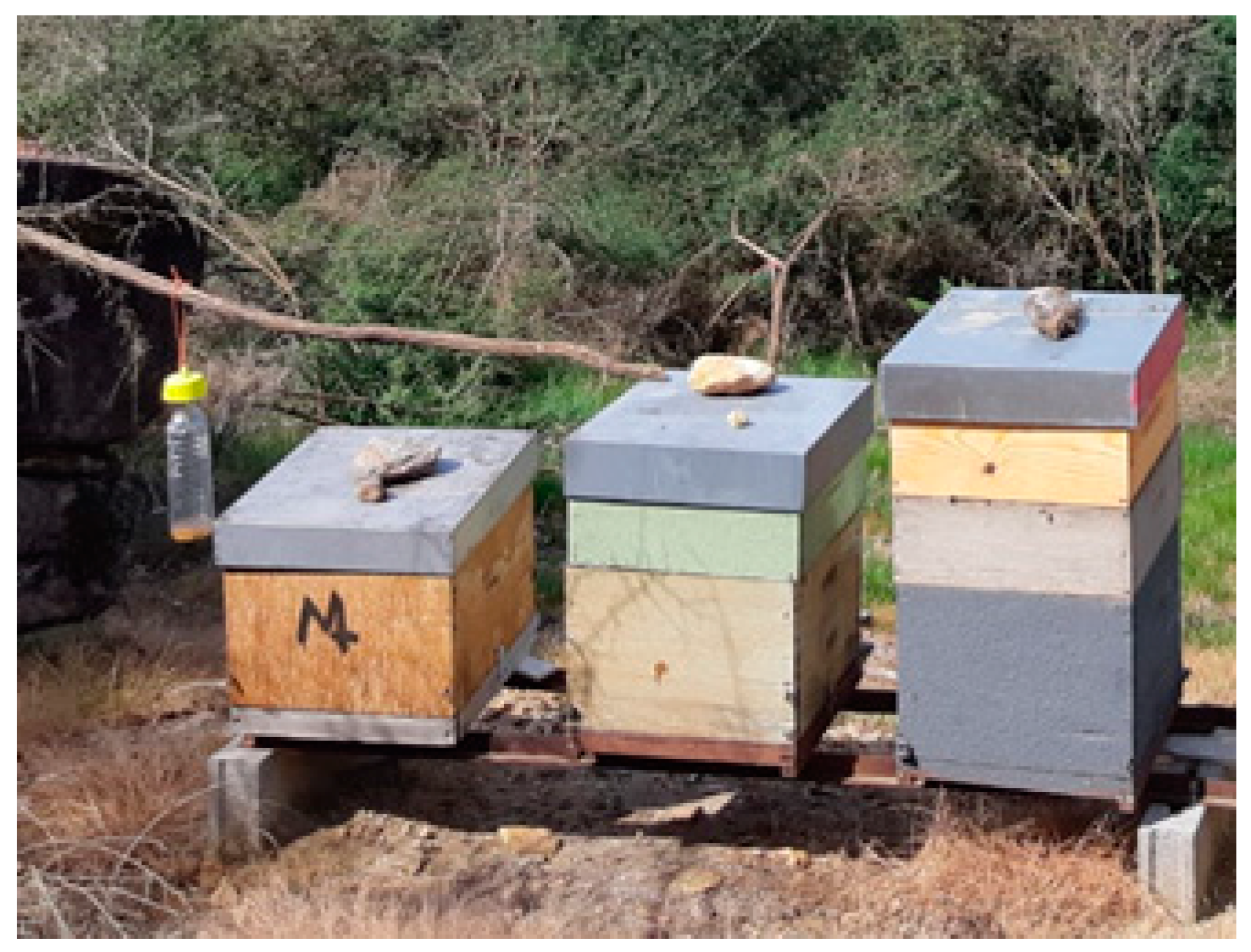 Applsci 14 07571 g003