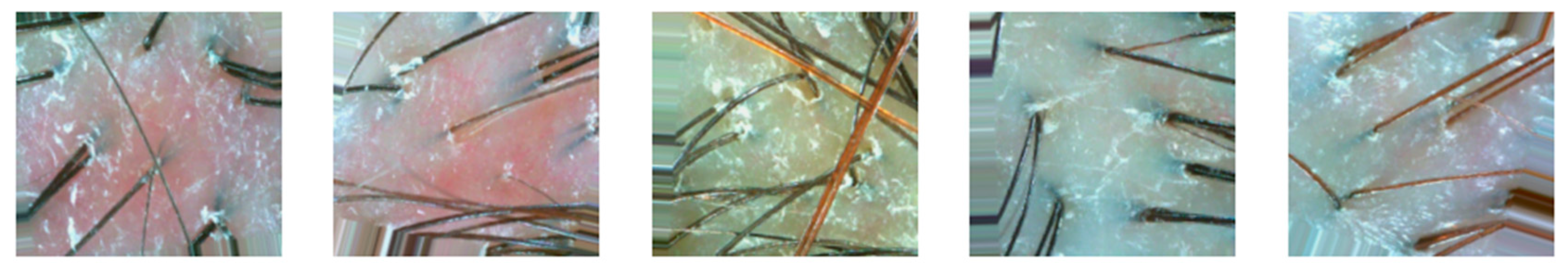 Applsci 14 07574 g004