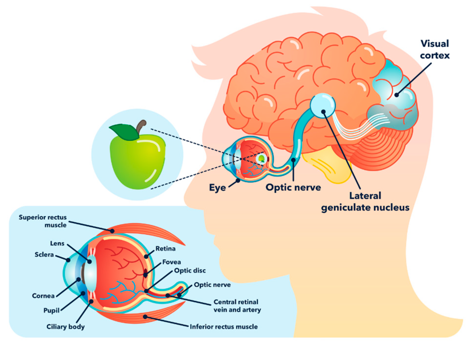 Applsci 14 07579 g003