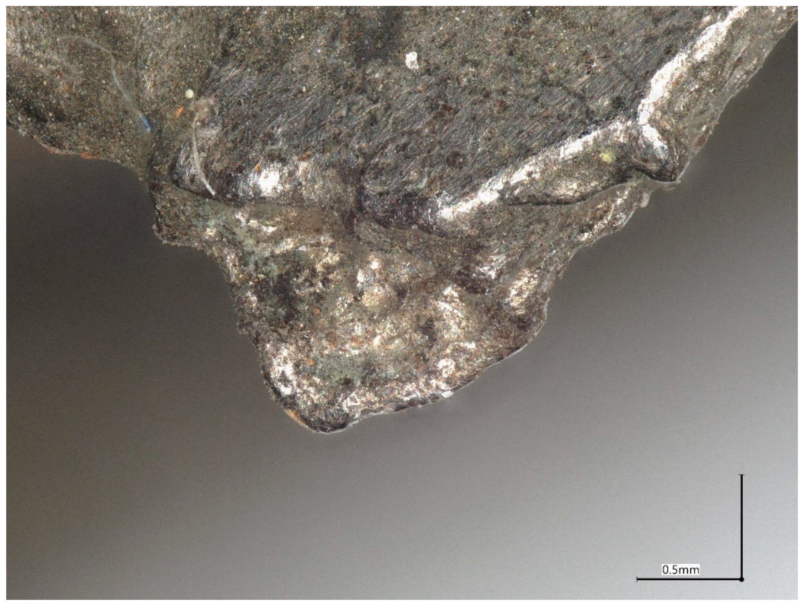 Applsci 14 07616 g002