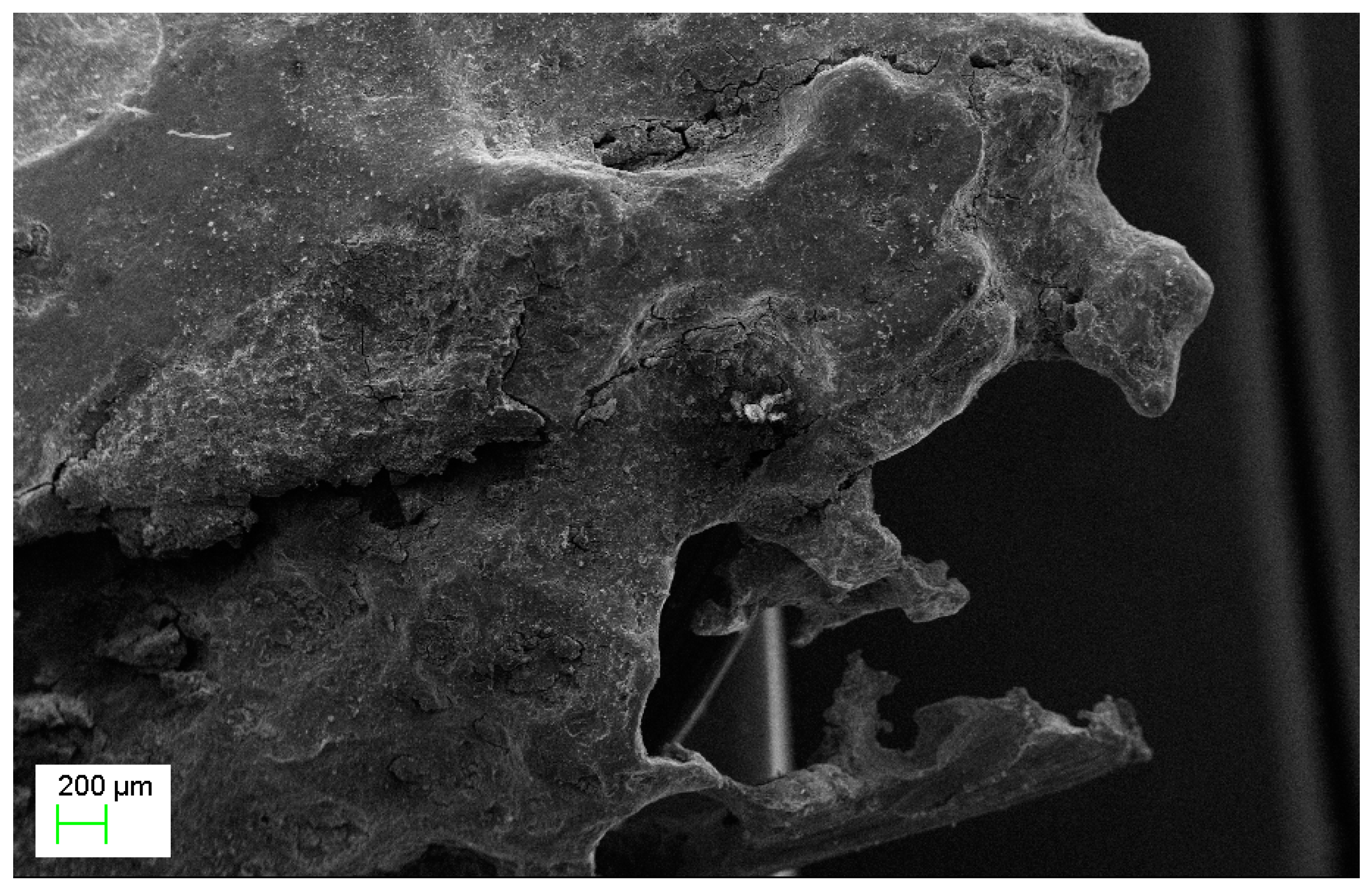 Applsci 14 07616 g003