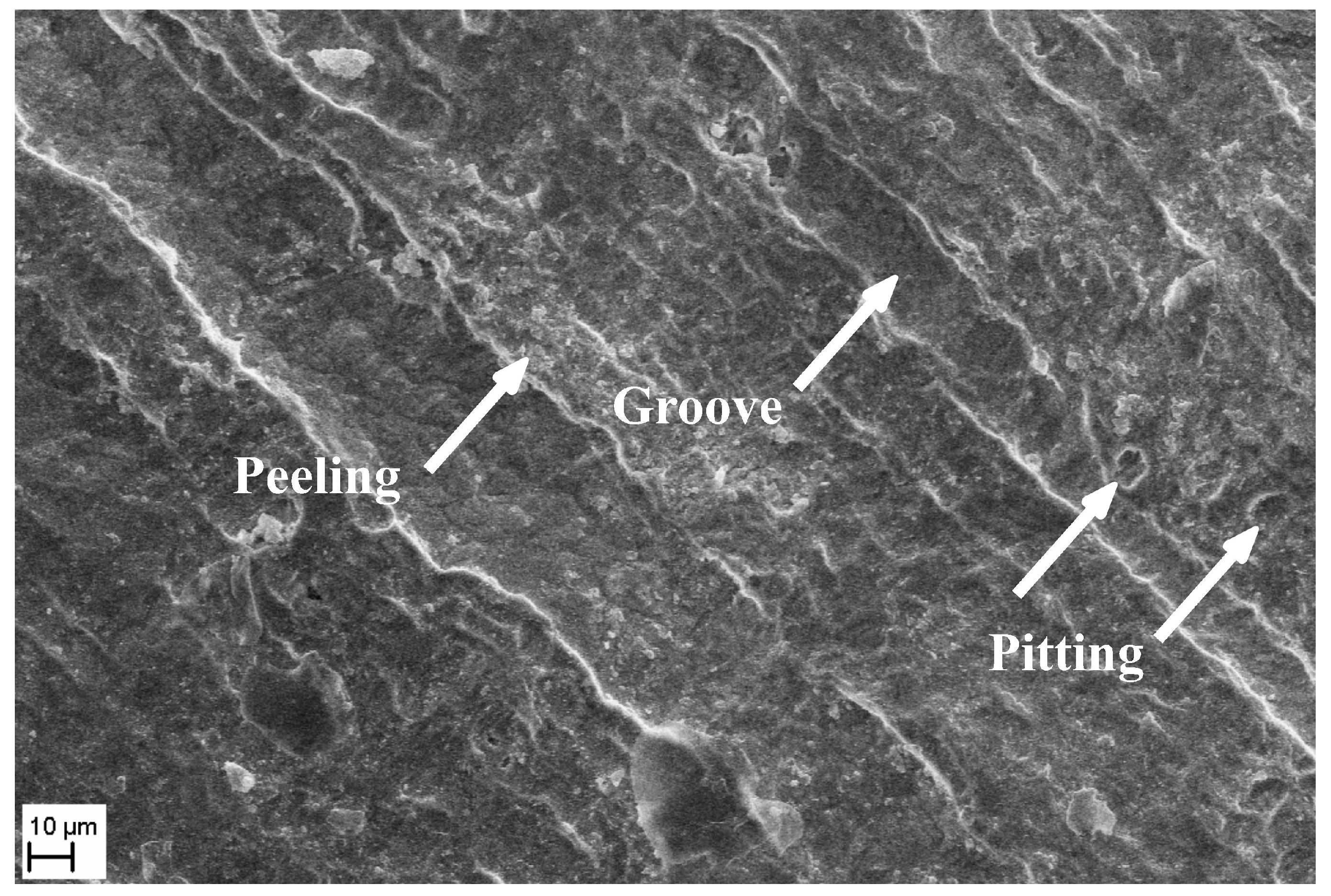 Applsci 14 07616 g007