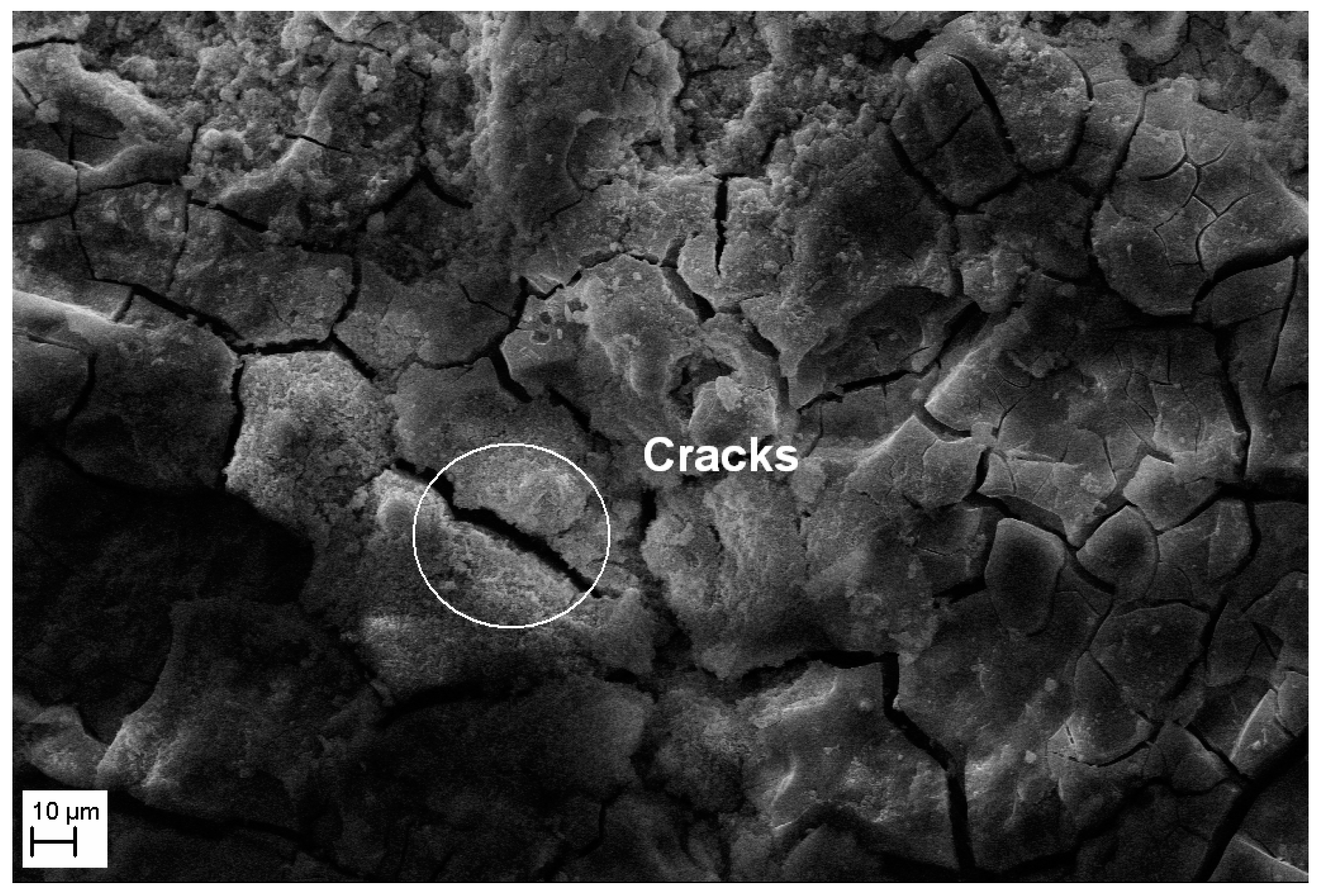 Applsci 14 07616 g008