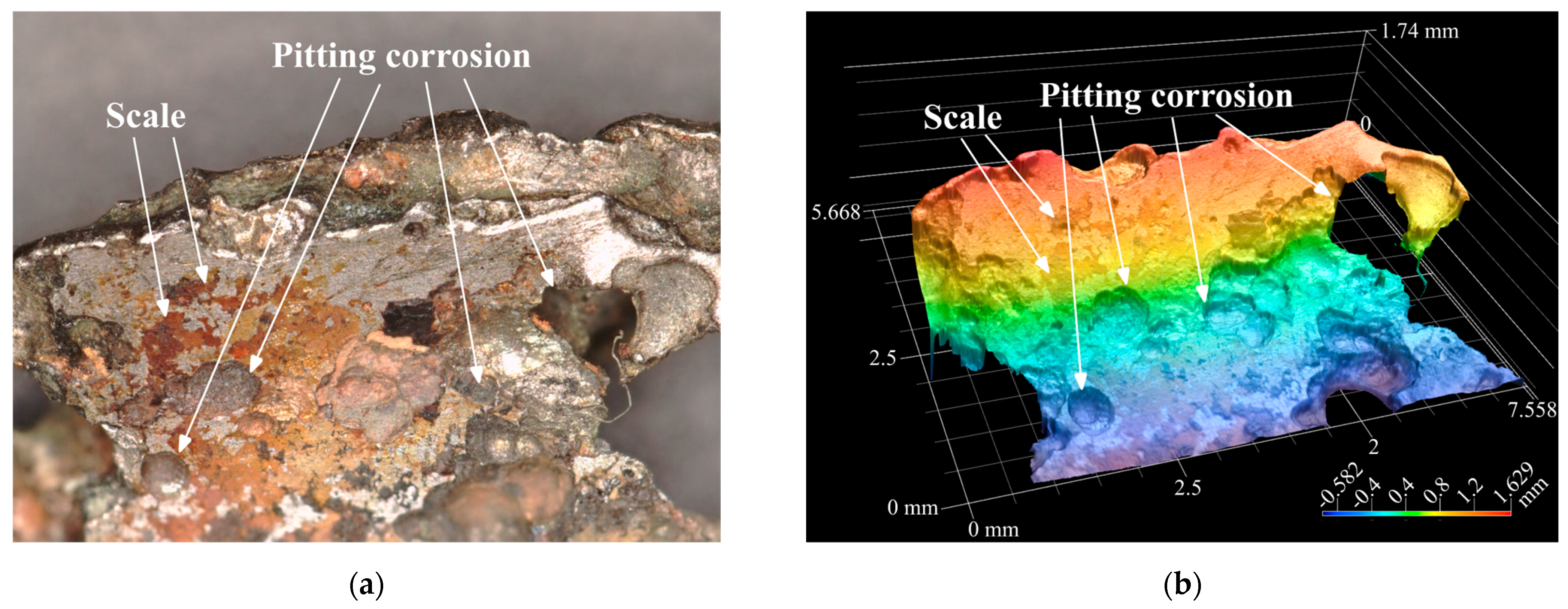 Applsci 14 07616 g010
