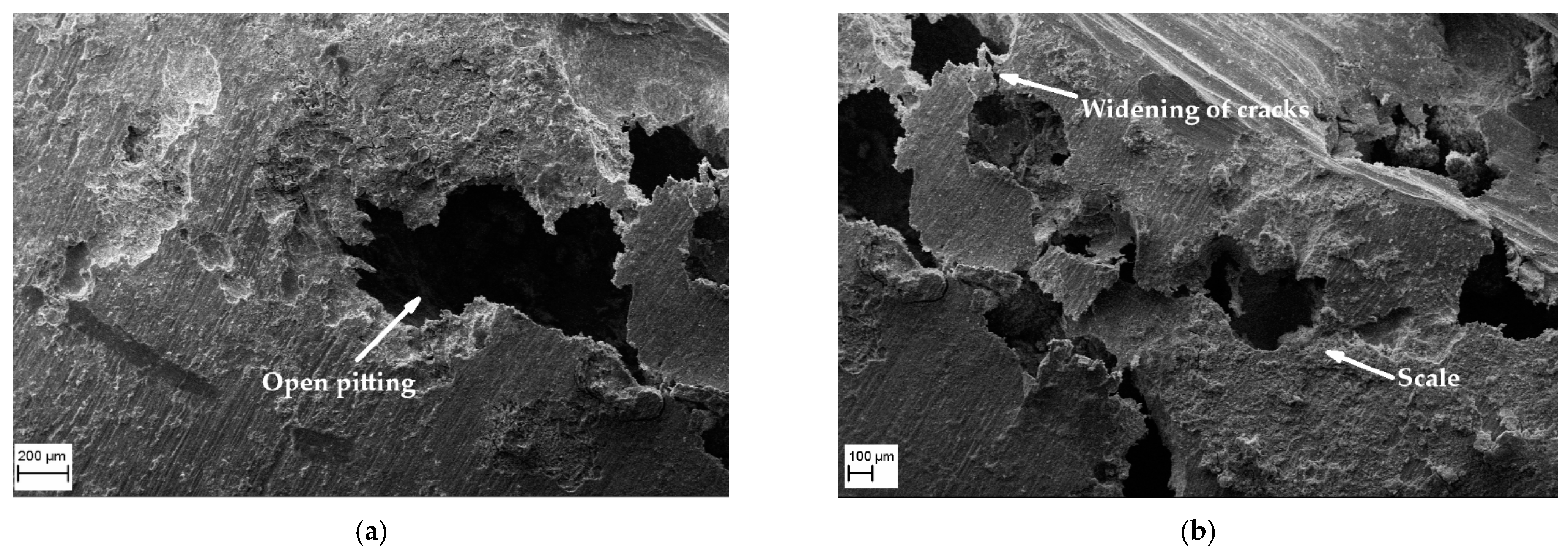 Applsci 14 07616 g013