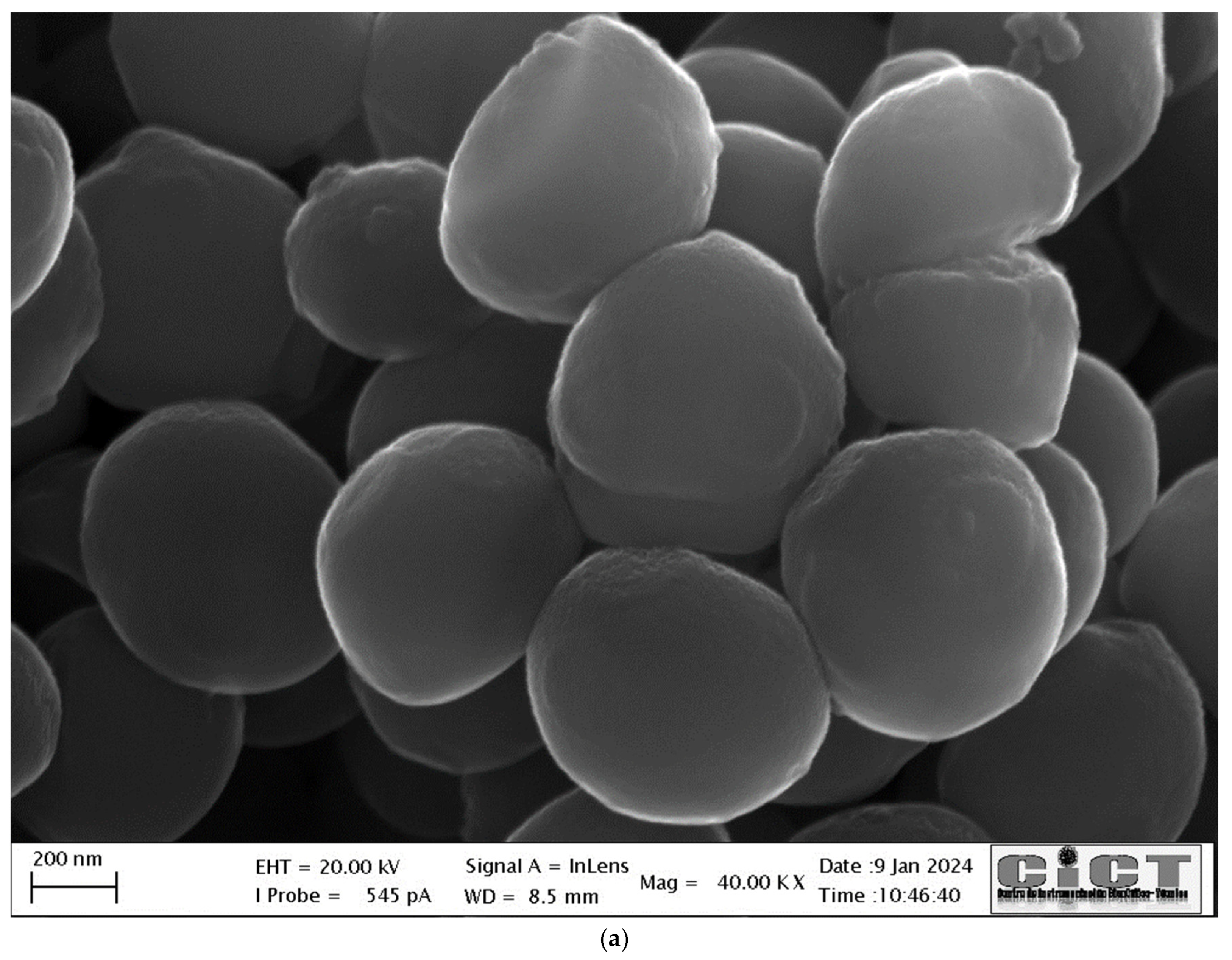 Applsci 14 07623 g003a