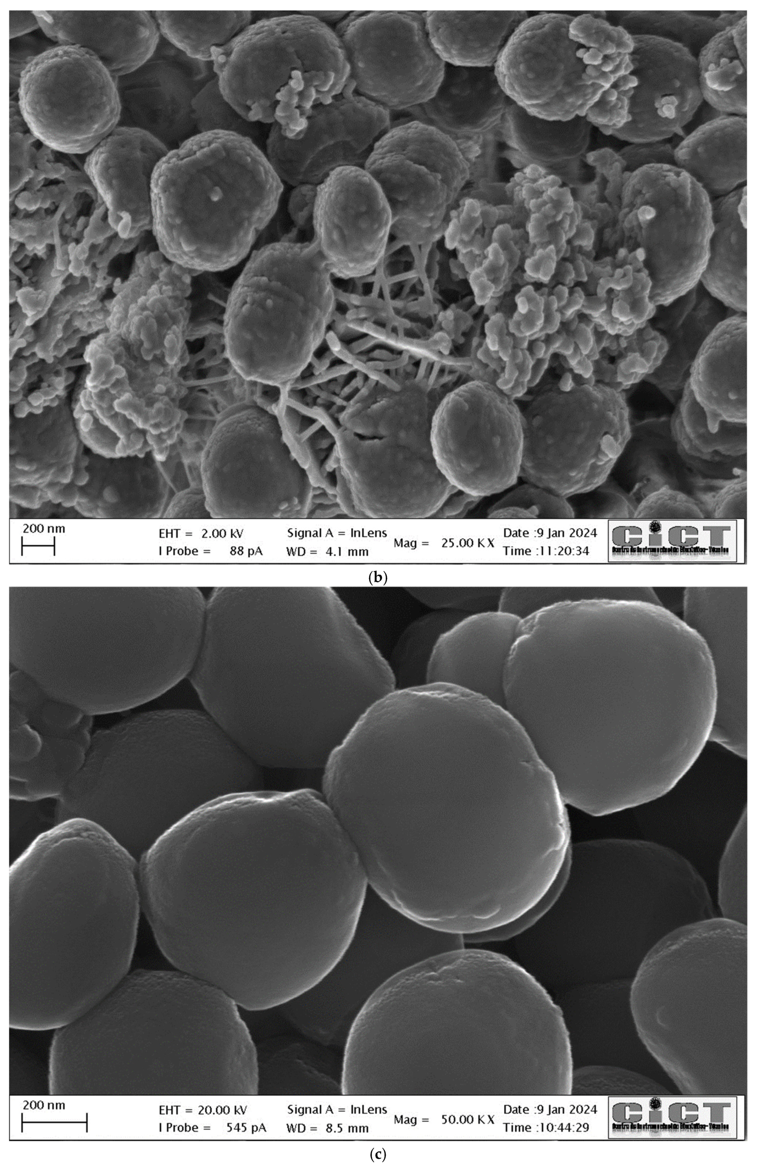 Applsci 14 07623 g003b