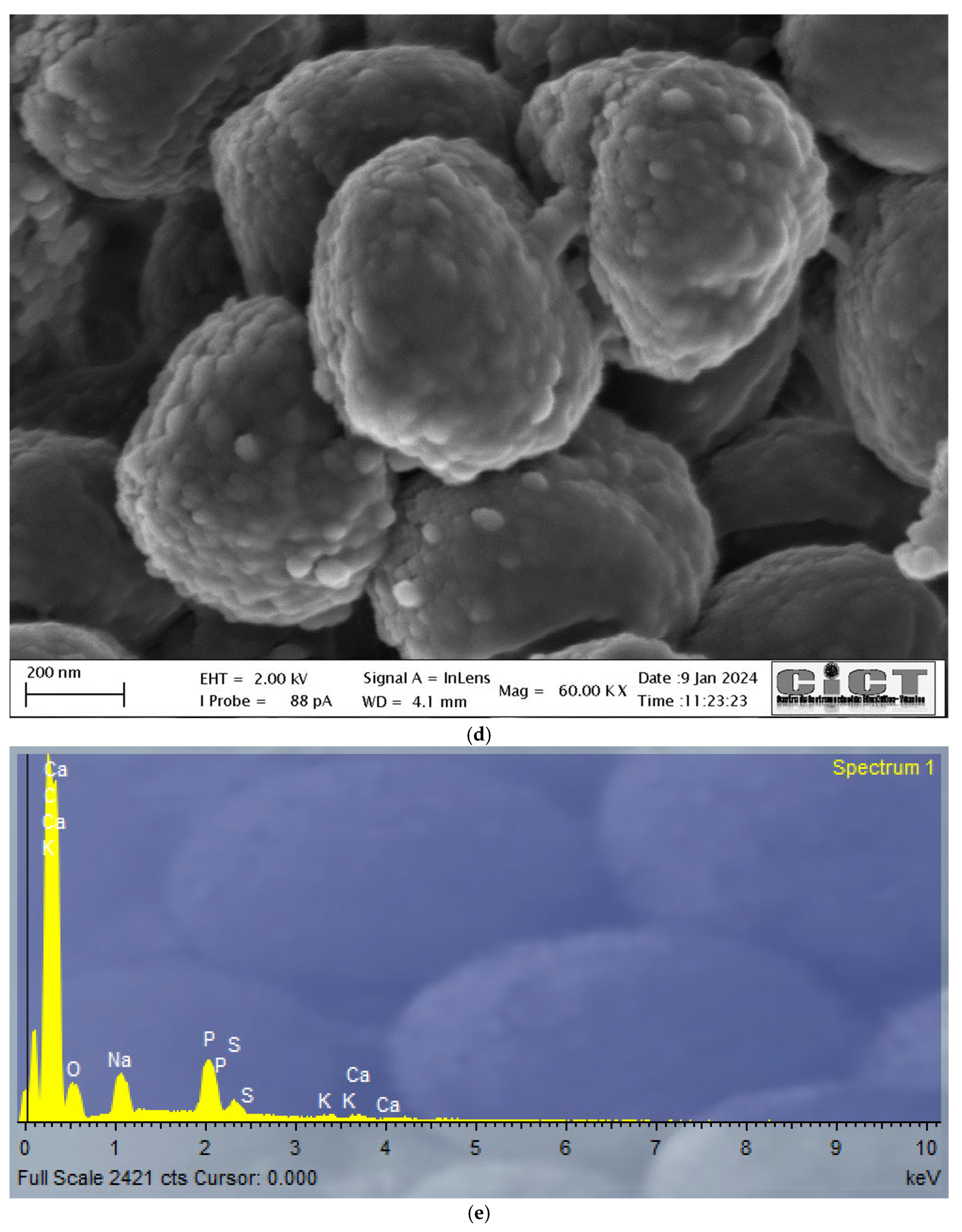 Applsci 14 07623 g003c