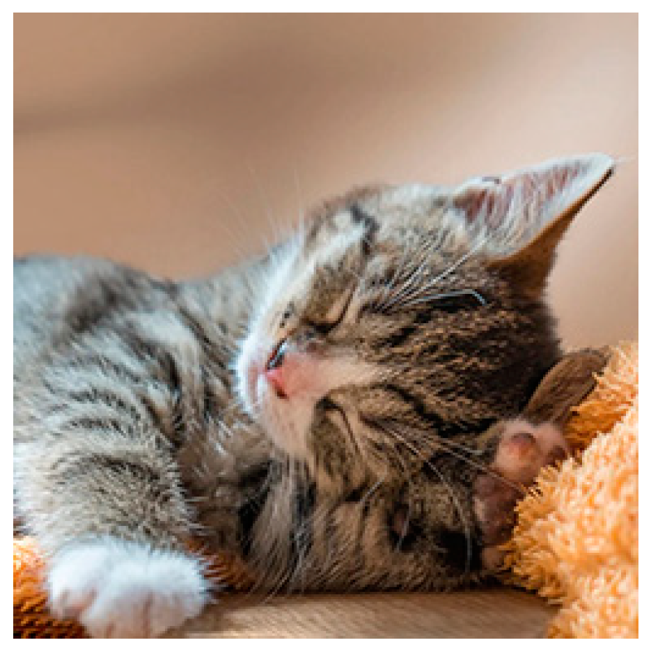 Applsci 14 07637 g011