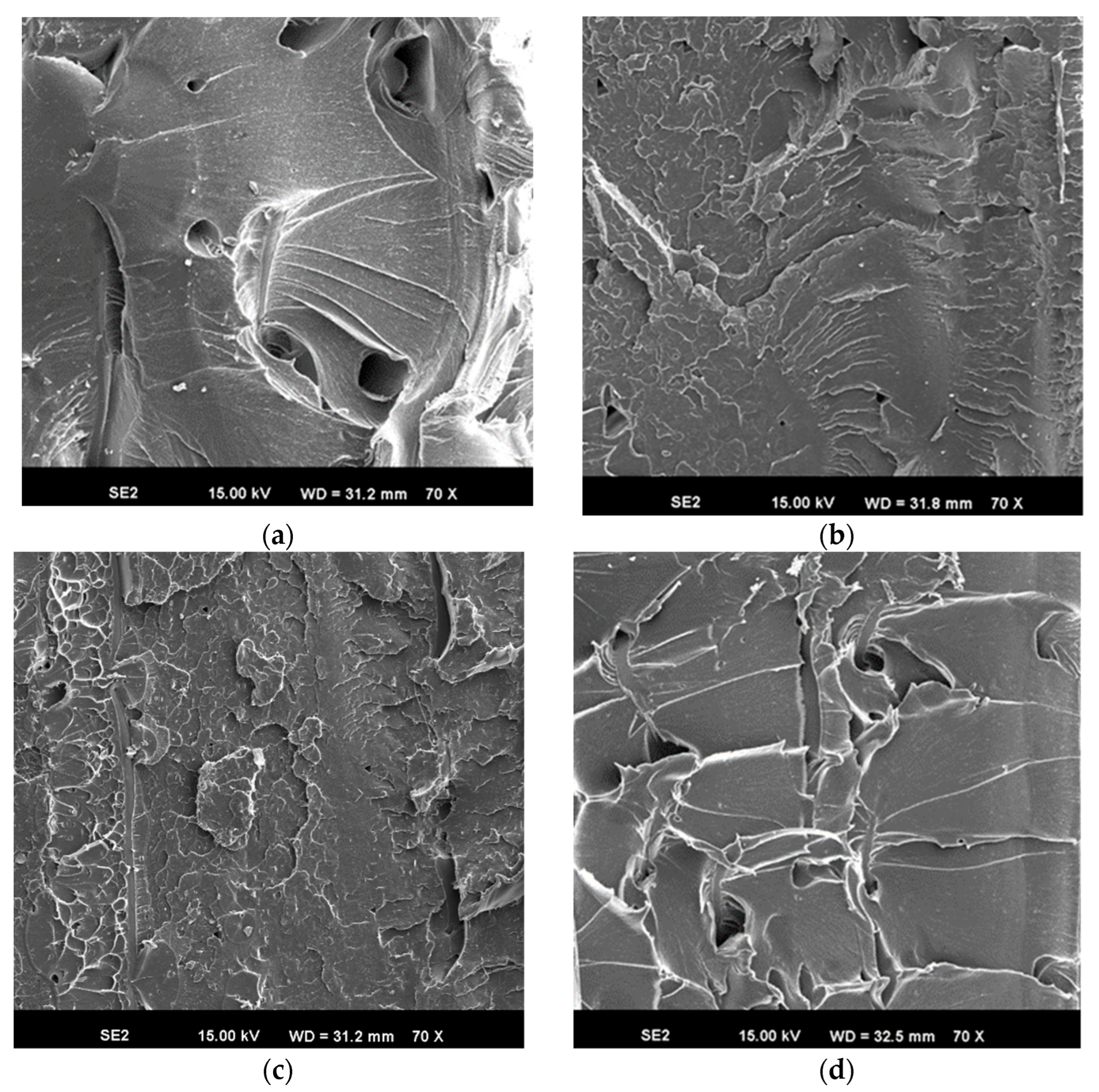 Applsci 14 07642 g011