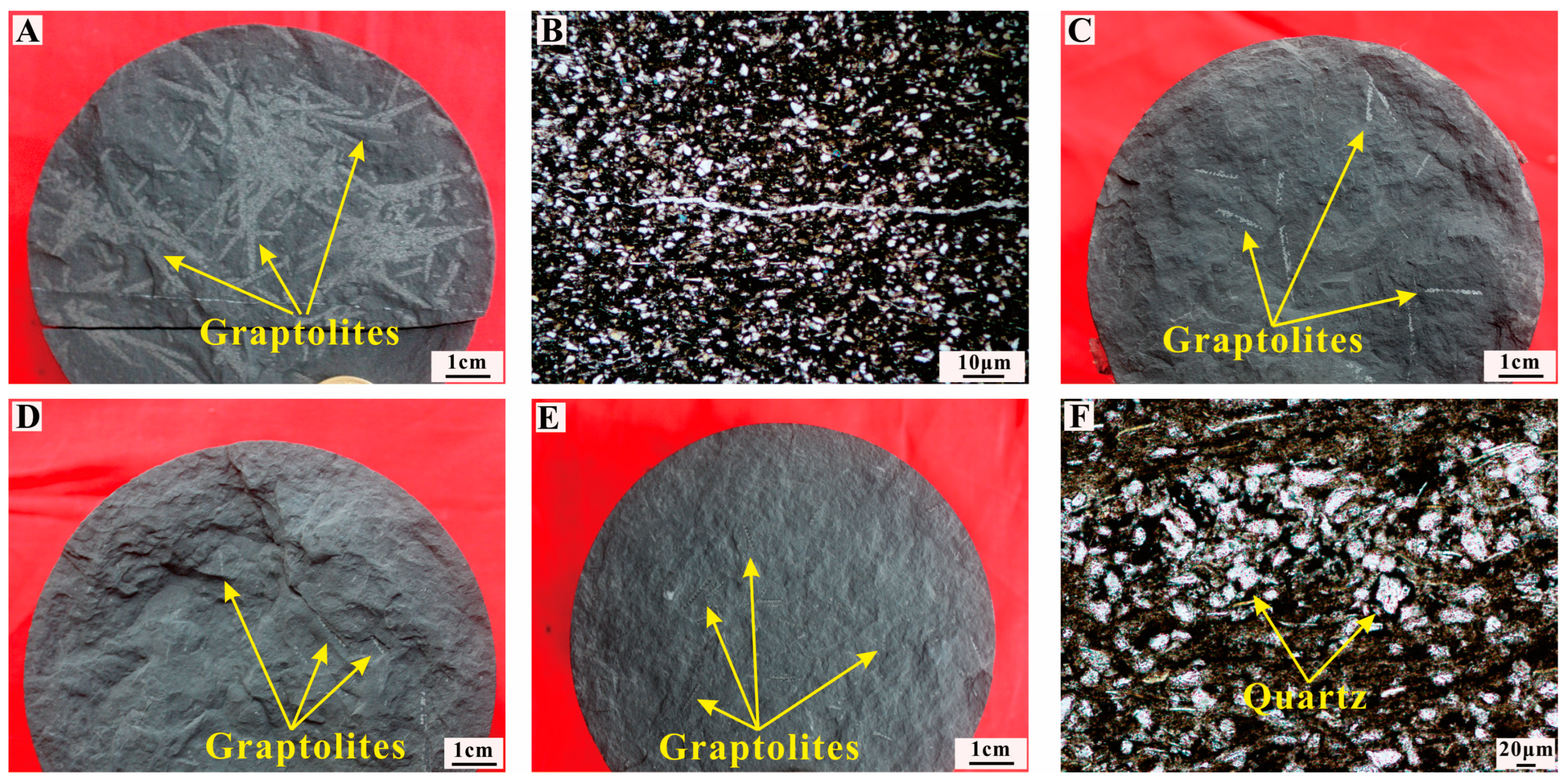 Applsci 14 07661 g005