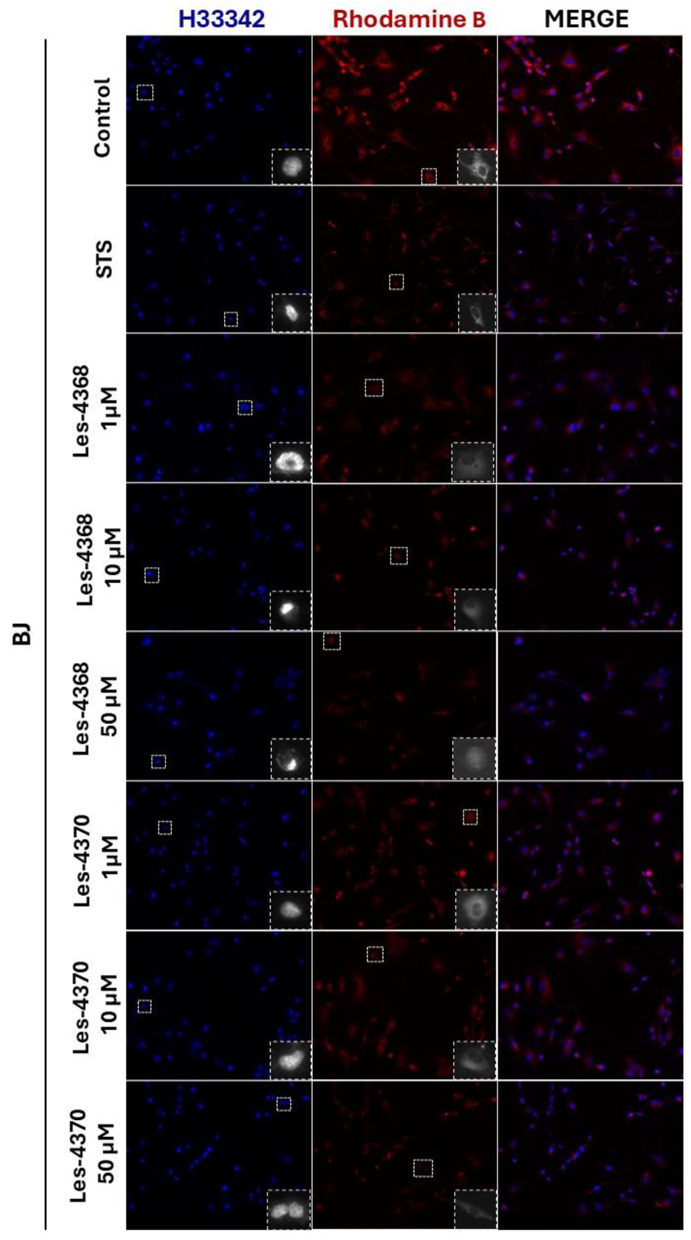 Applsci 14 07692 g007