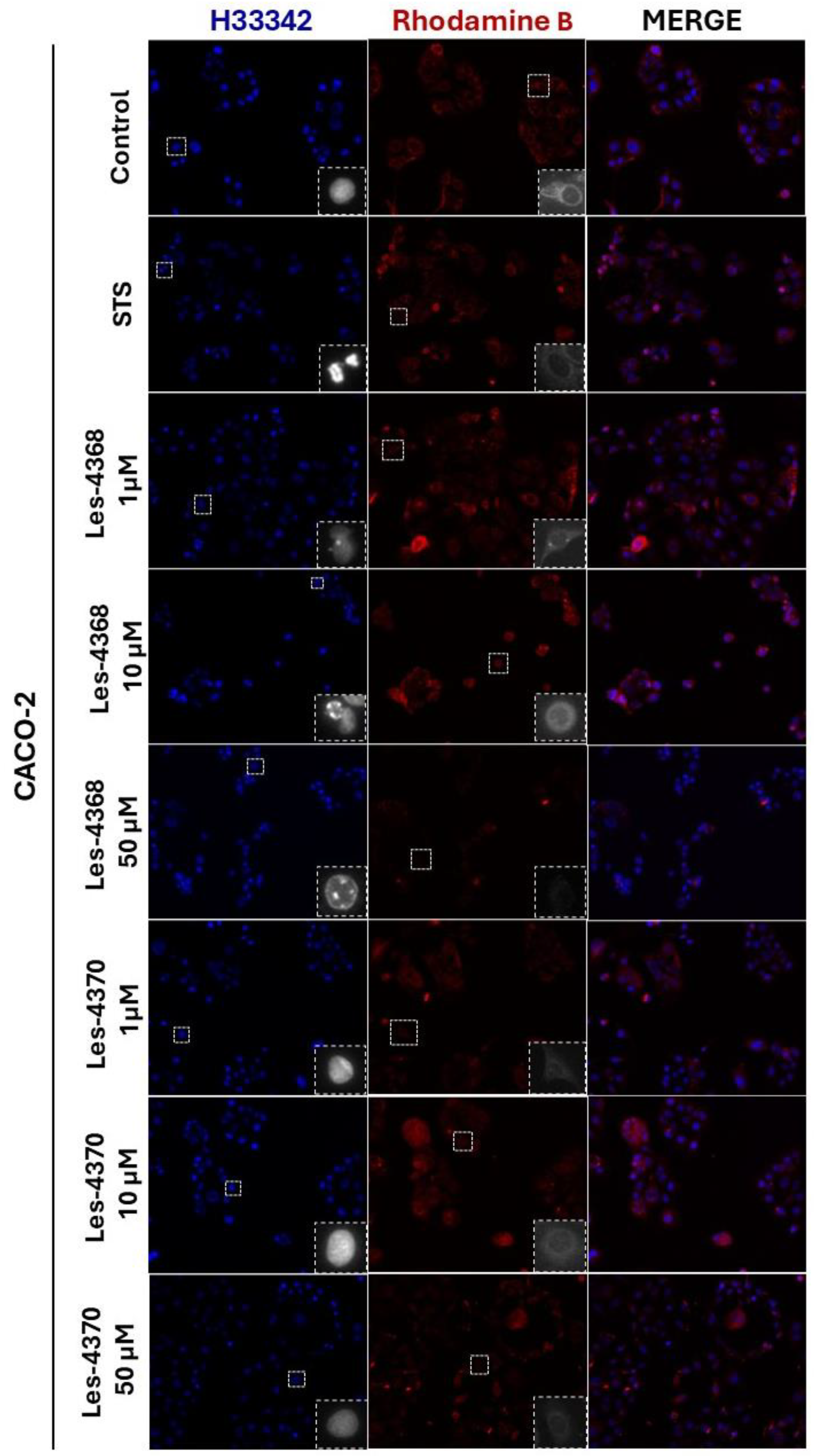 Applsci 14 07692 g008