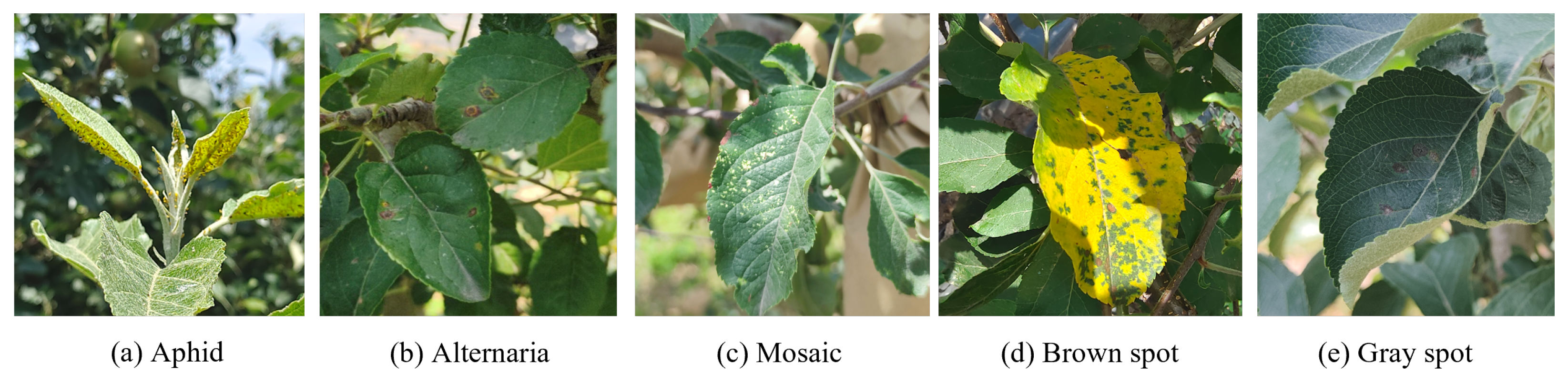 Applsci 14 07695 g003