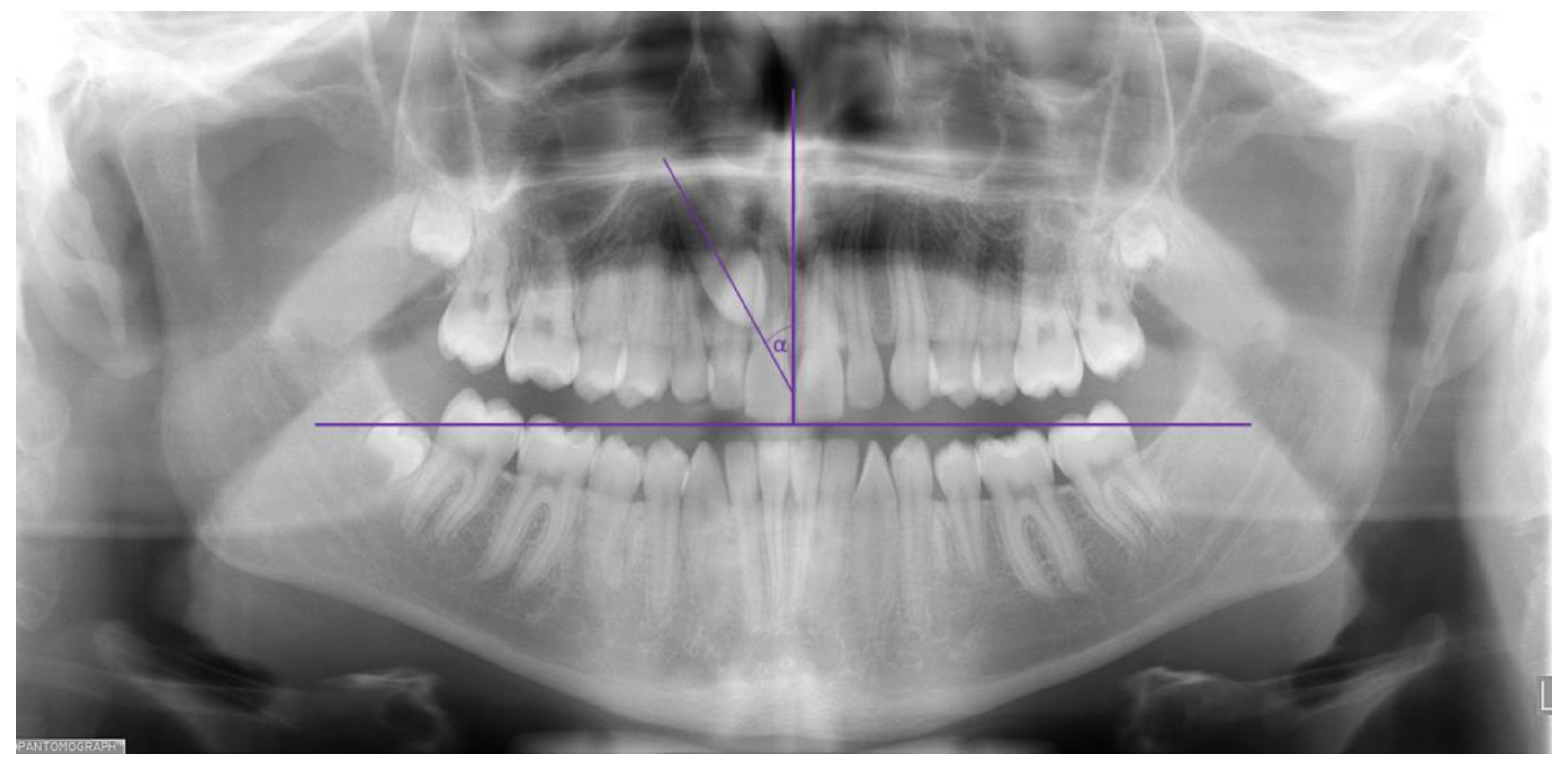 Applsci 14 07700 g001