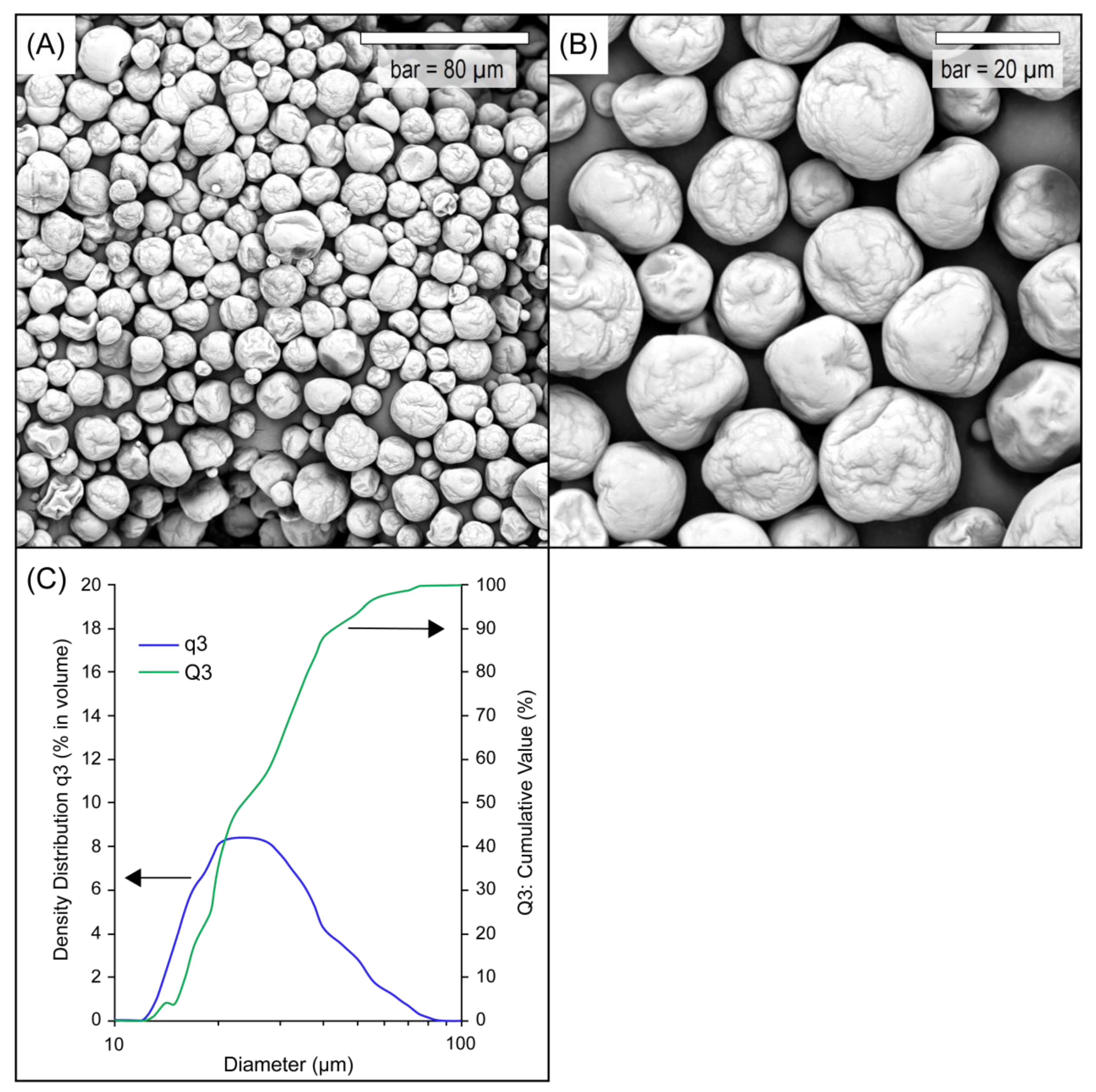 Applsci 14 07718 g002