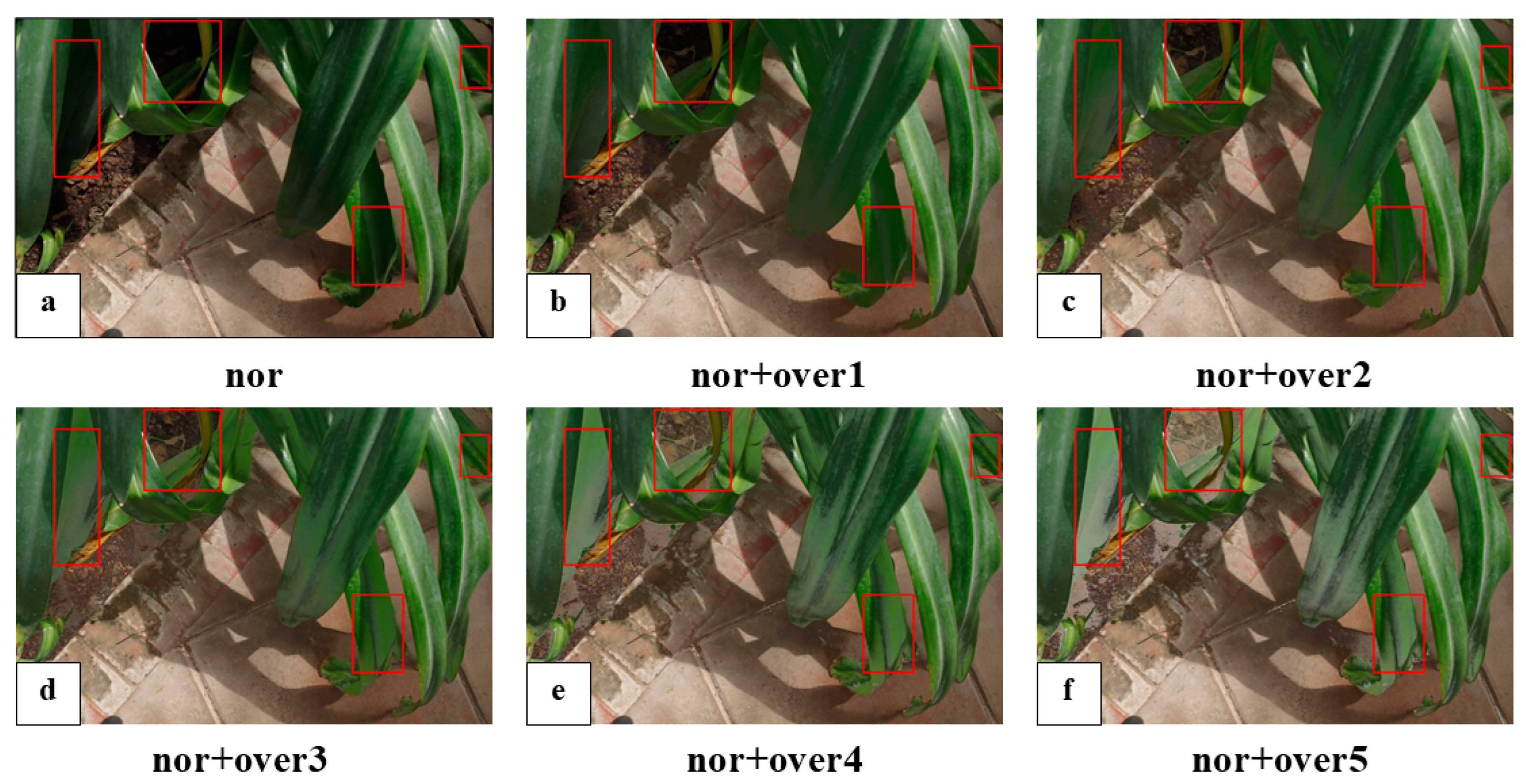 Applsci 14 07719 g004