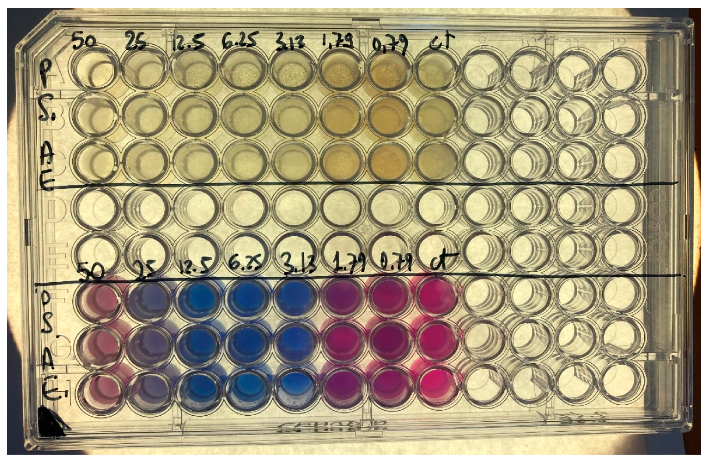 Applsci 14 07761 g001