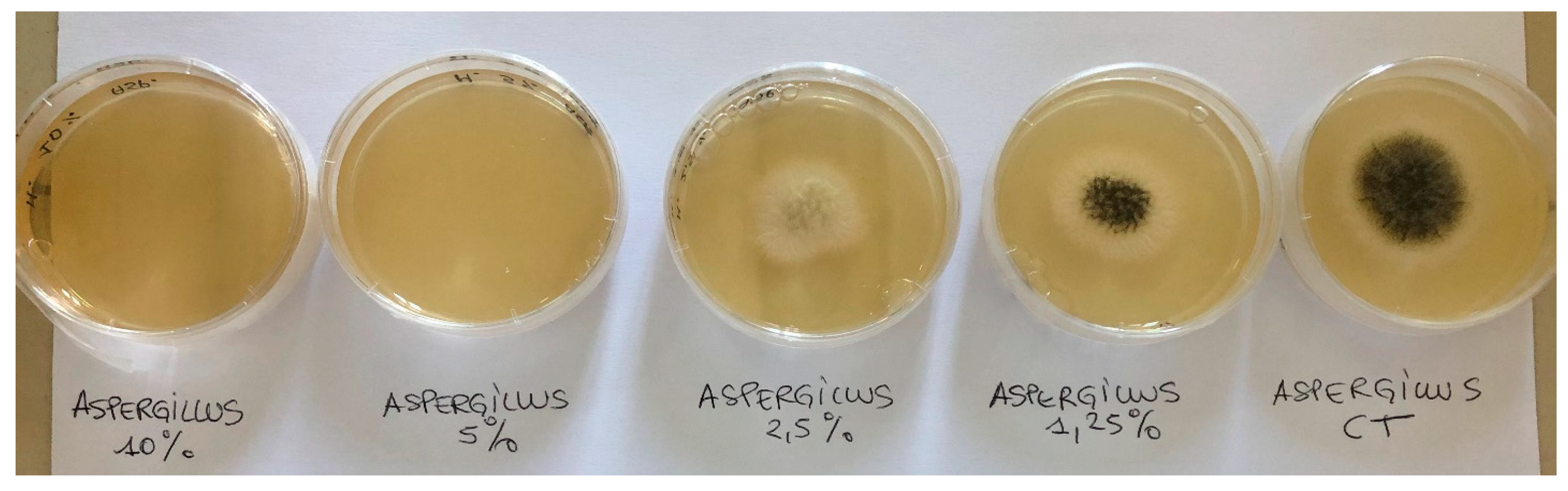 Applsci 14 07761 g002